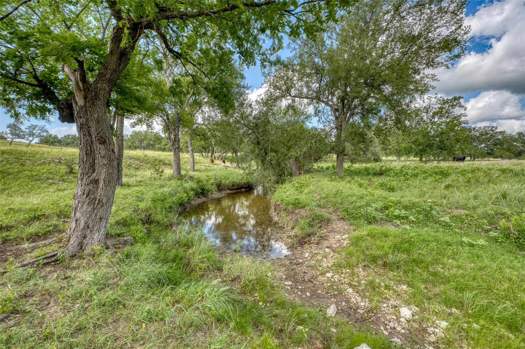 191 Pivot Cir, Briggs, TX 78608