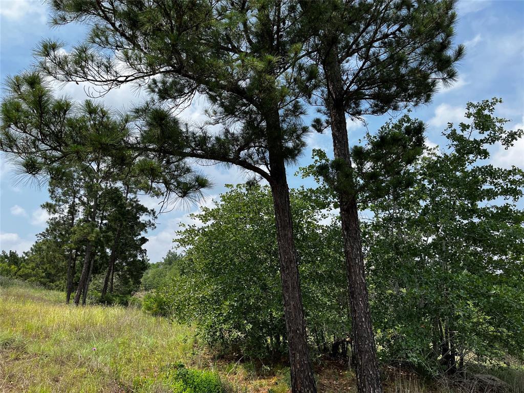 LOT 46 Kamakoa Ln, Bastrop, TX 78602