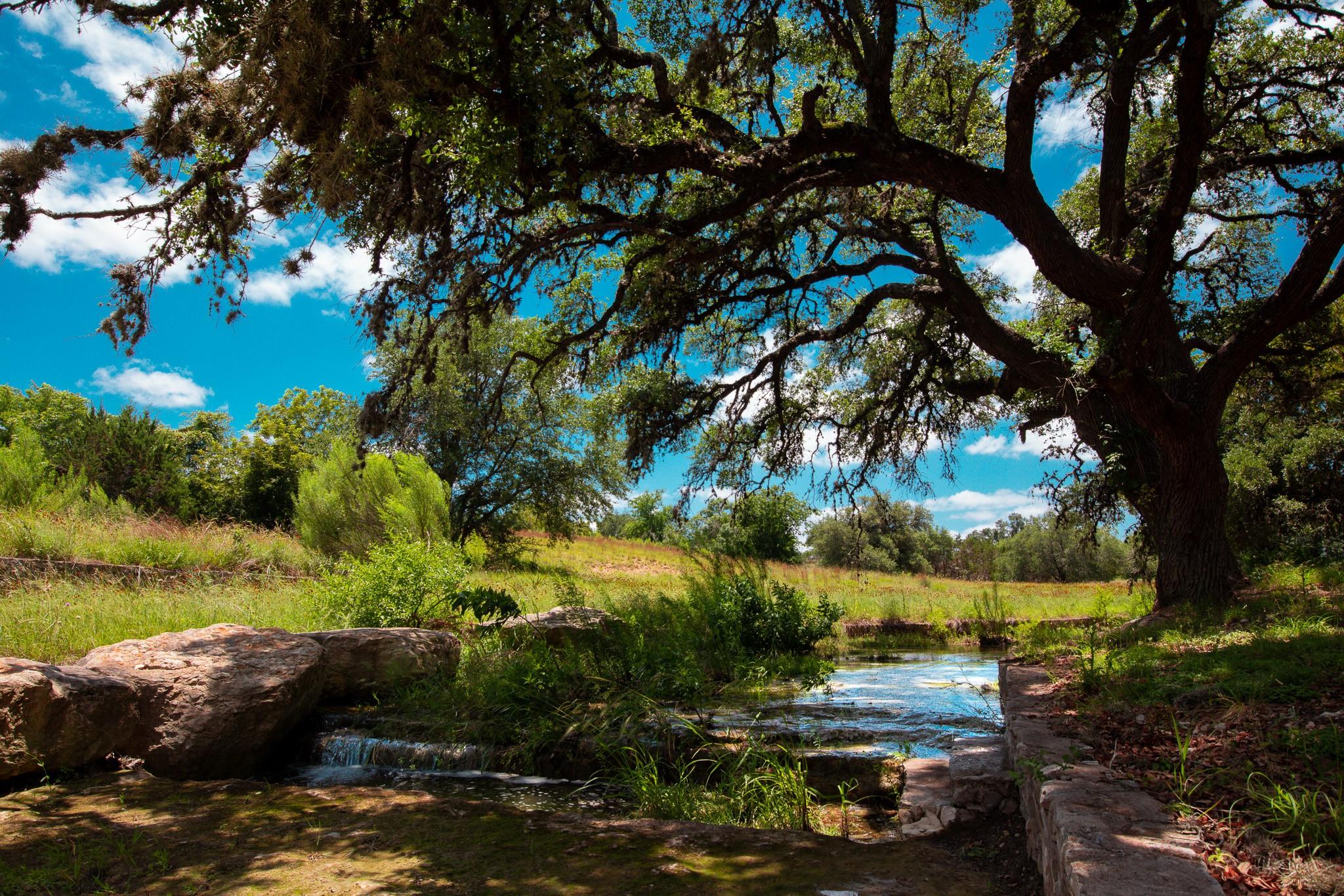 TBD E Starview Cove Cv # Lot 168, Blanco, TX 78606