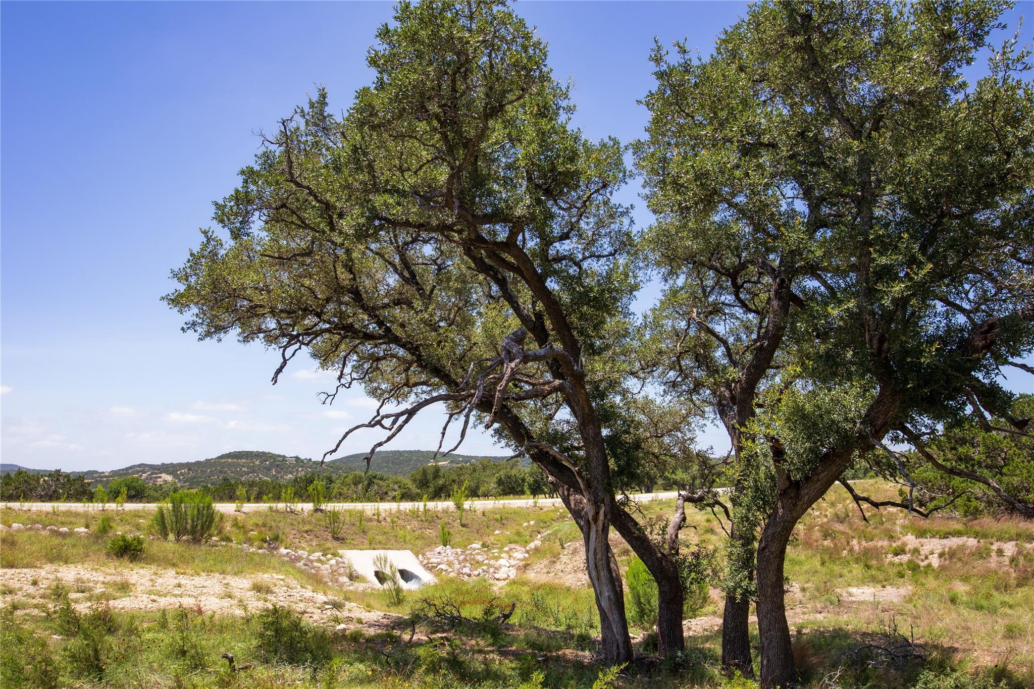 TBD E Starview Cove Cv # Lot 168, Blanco, TX 78606