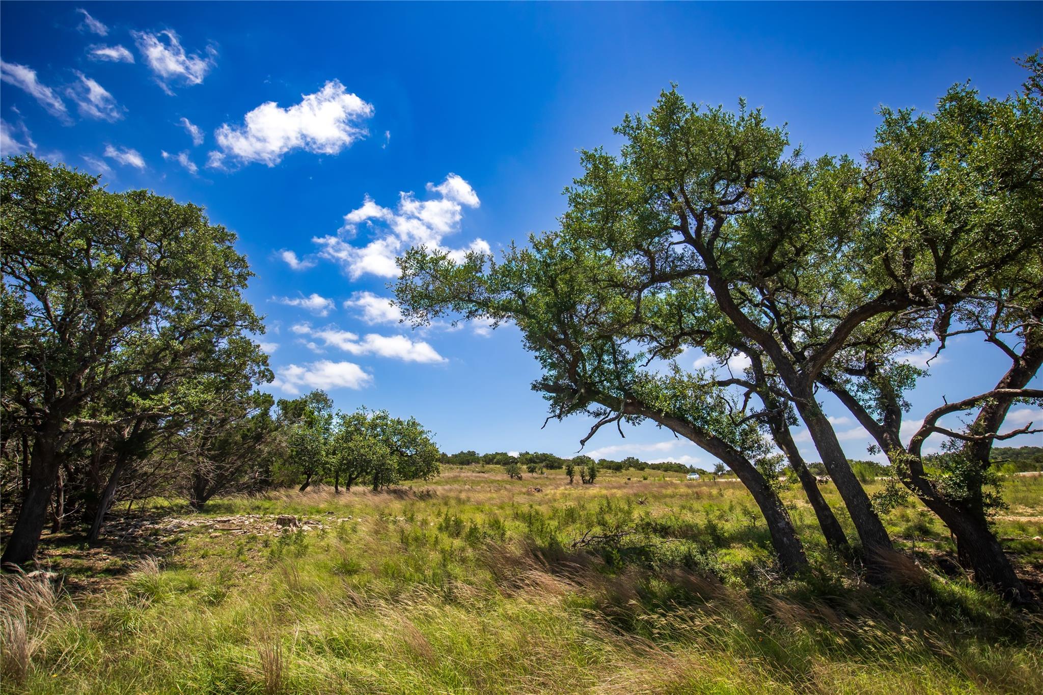 TBD E Starview Cove Cv # Lot 168, Blanco, TX 78606