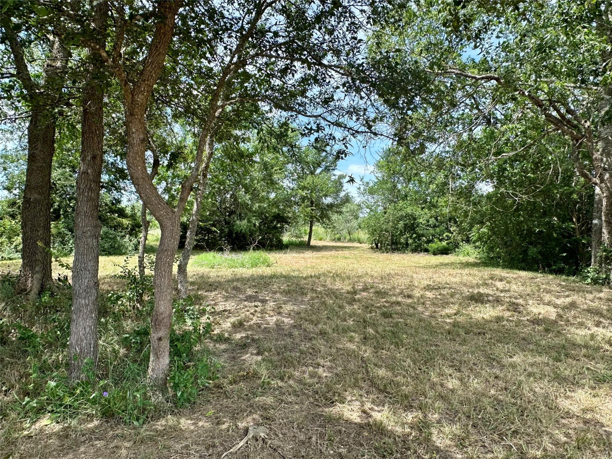 815 Track Rd, Dale, TX 78616