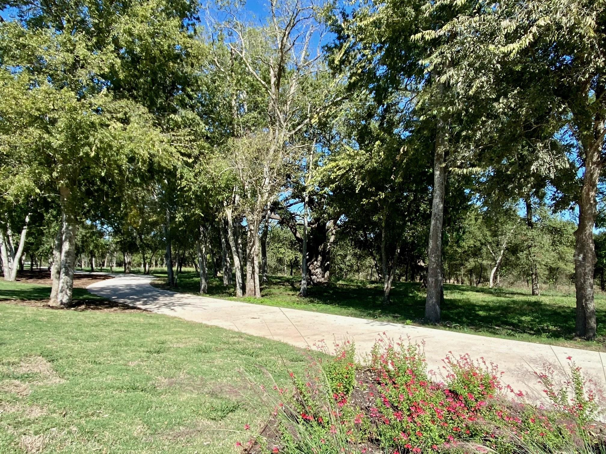4916 Sea Salt Dr, Austin, TX 78747