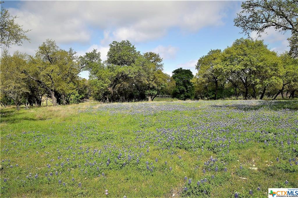 1290 County Road 4765, Kempner, TX 76539