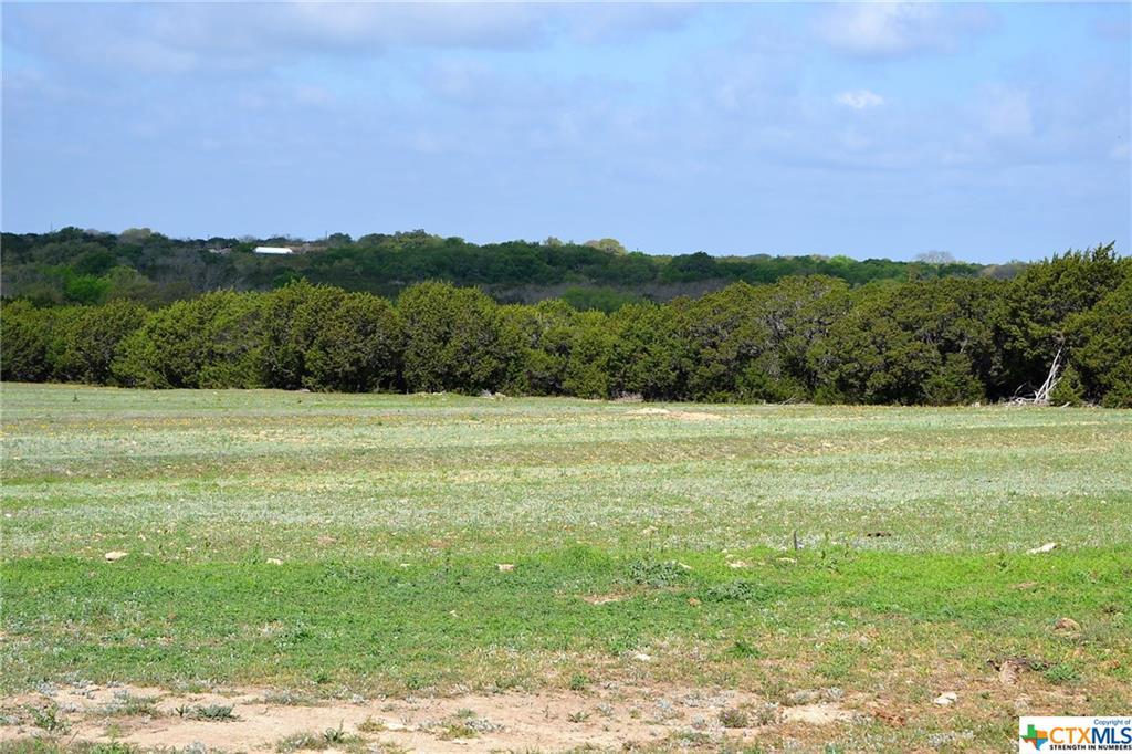 1290 County Road 4765, Kempner, TX 76539