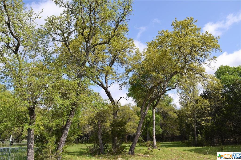 1290 County Road 4765, Kempner, TX 76539