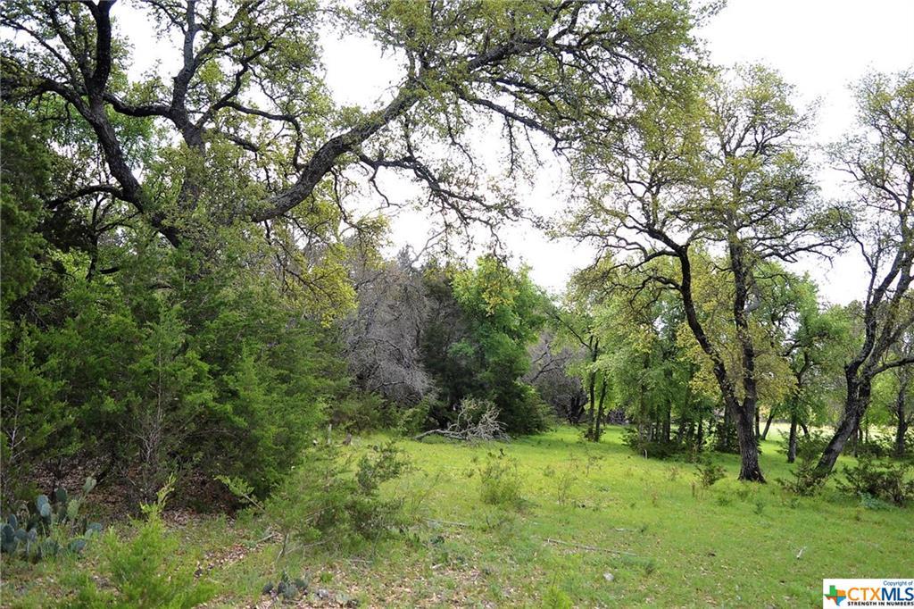 1290 County Road 4765, Kempner, TX 76539