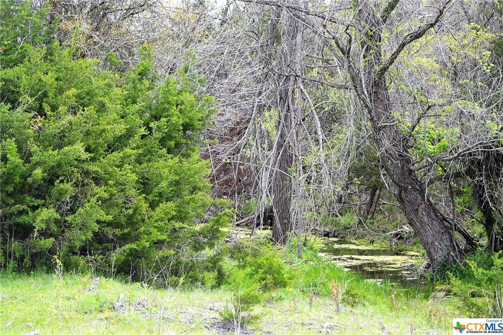 1290 County Road 4765, Kempner, TX 76539