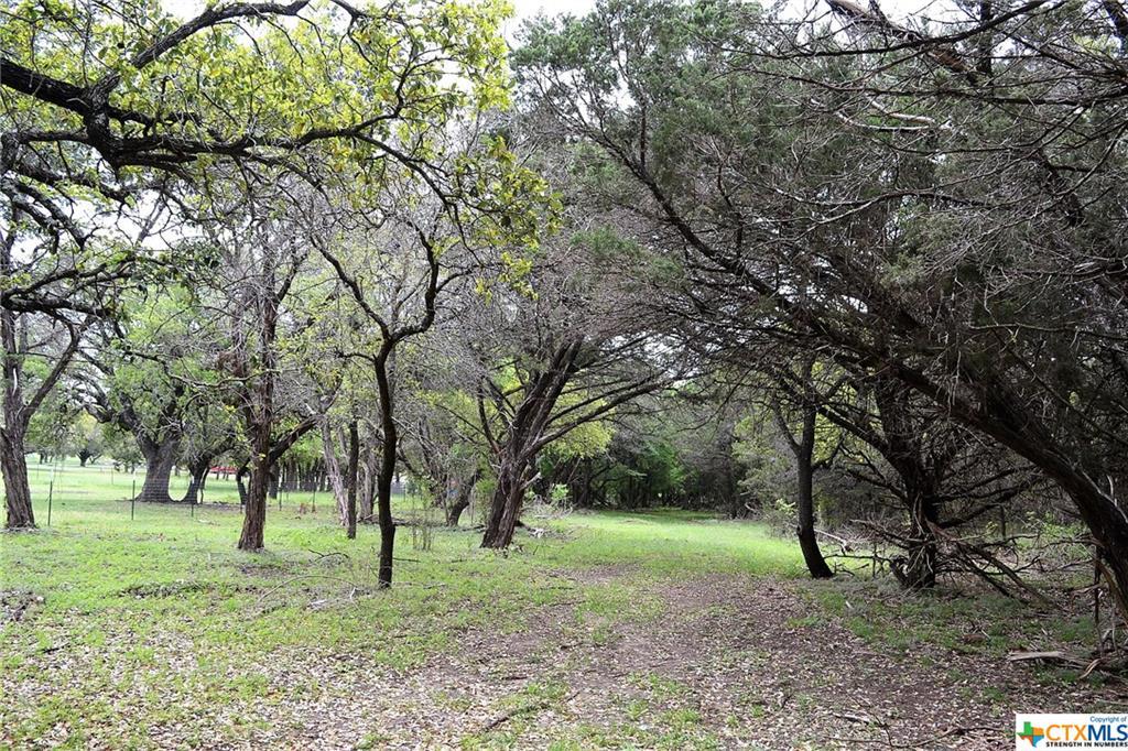 1290 County Road 4765, Kempner, TX 76539