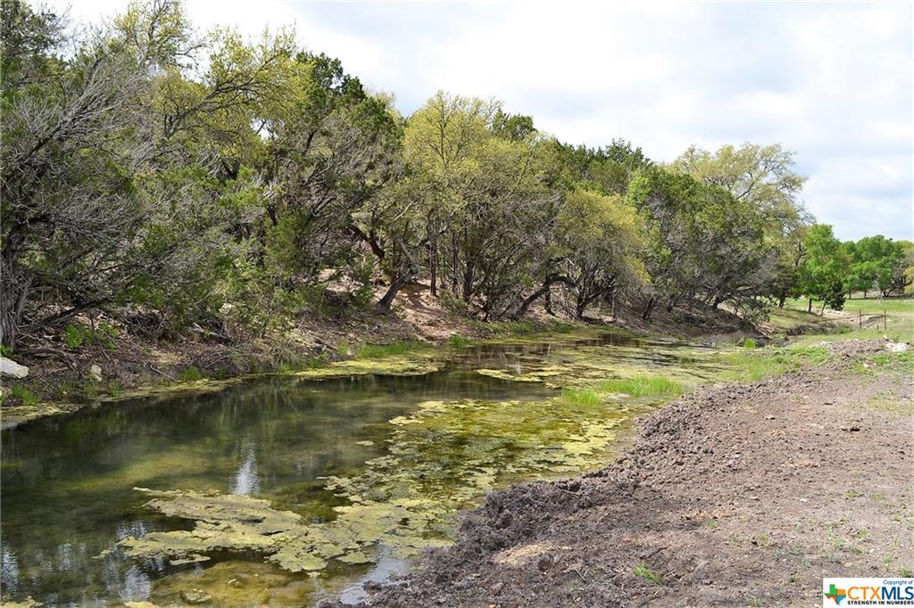 1290 County Road 4765, Kempner, TX 76539