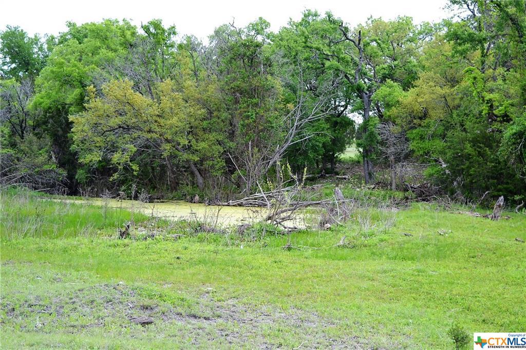 1290 County Road 4765, Kempner, TX 76539