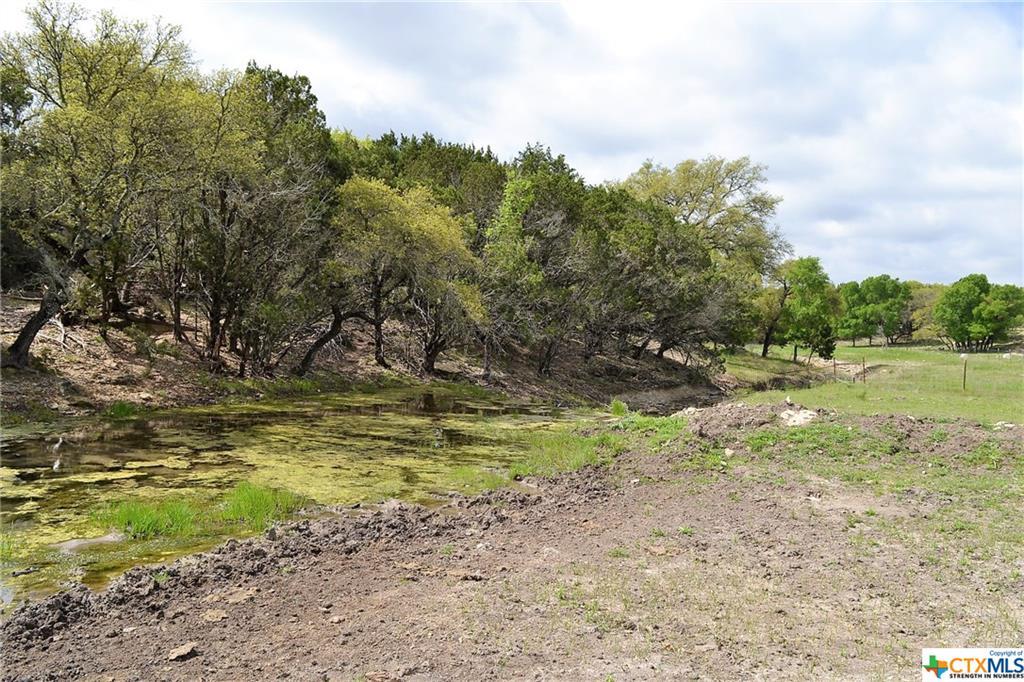 1290 County Road 4765, Kempner, TX 76539