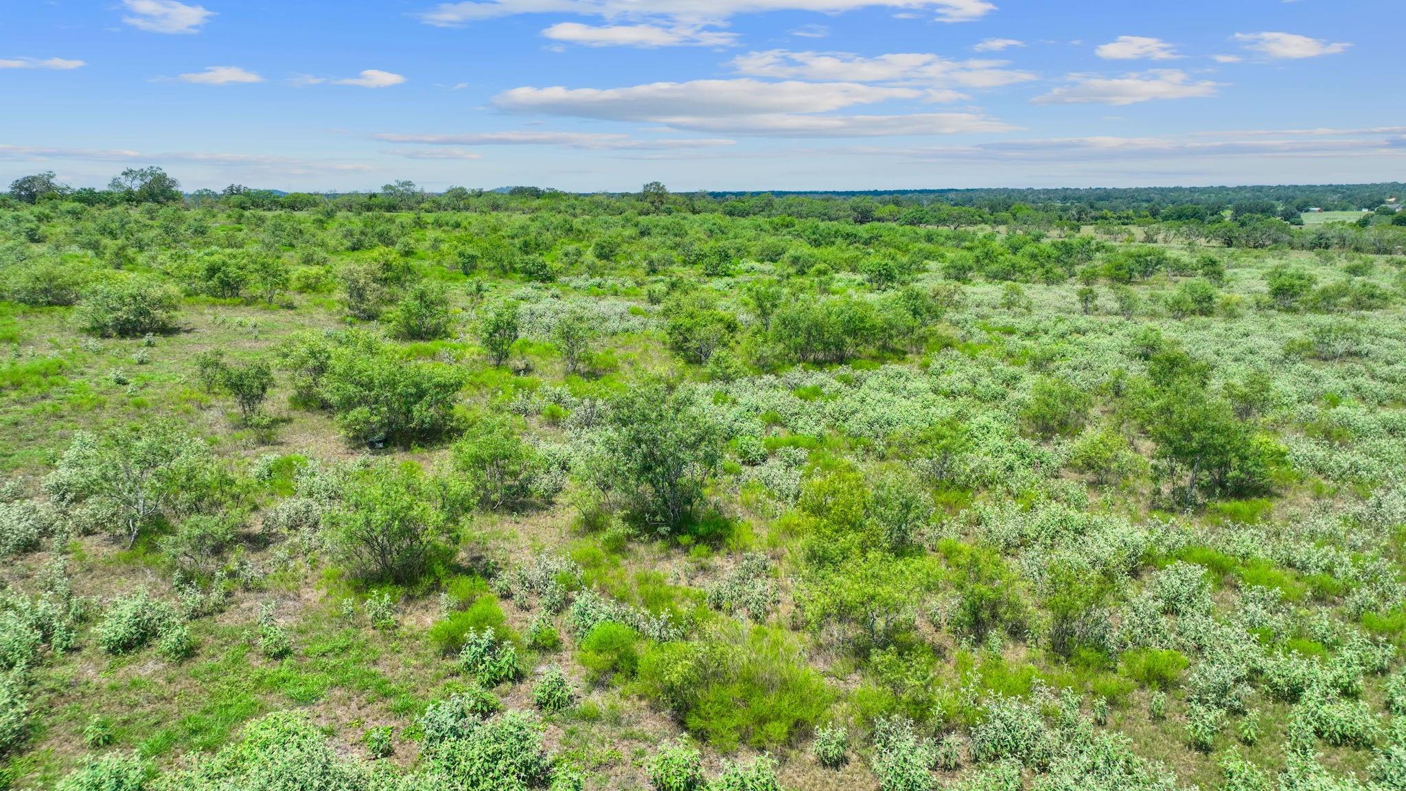 Lot 3 Cr 280, Harwood, TX 78629