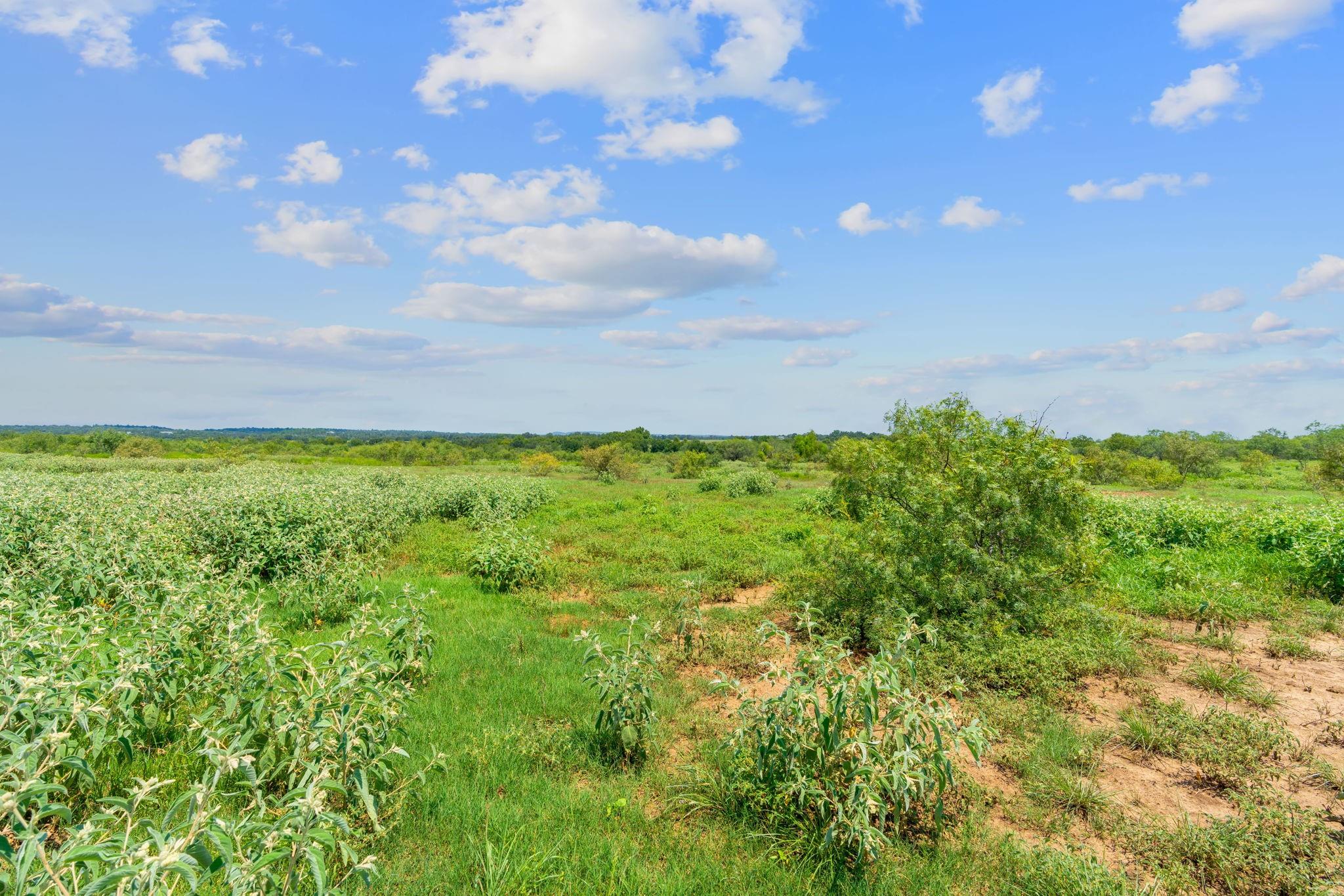 Lot 3 Cr 280, Harwood, TX 78629