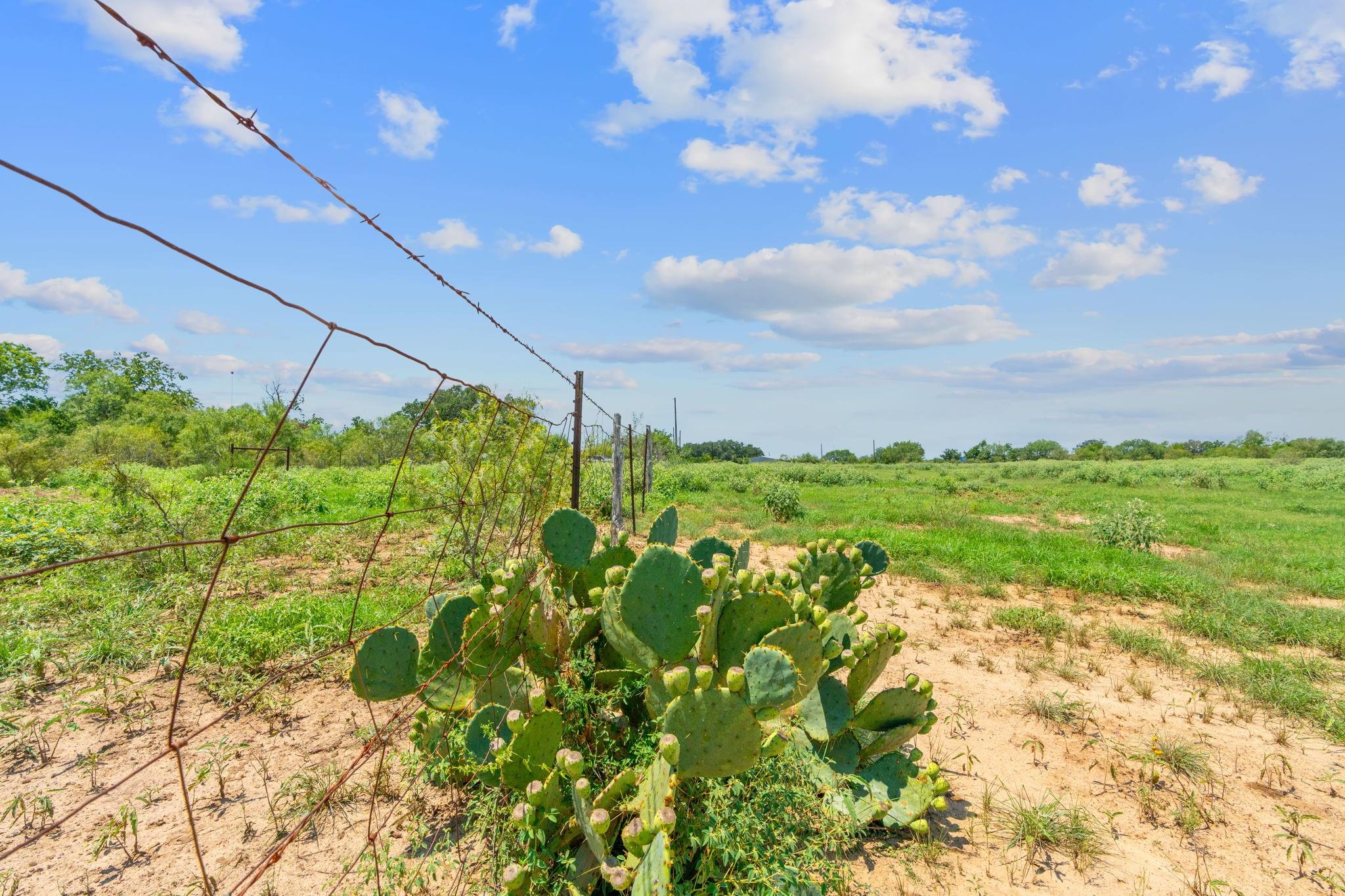 Lot 3 Cr 280, Harwood, TX 78629