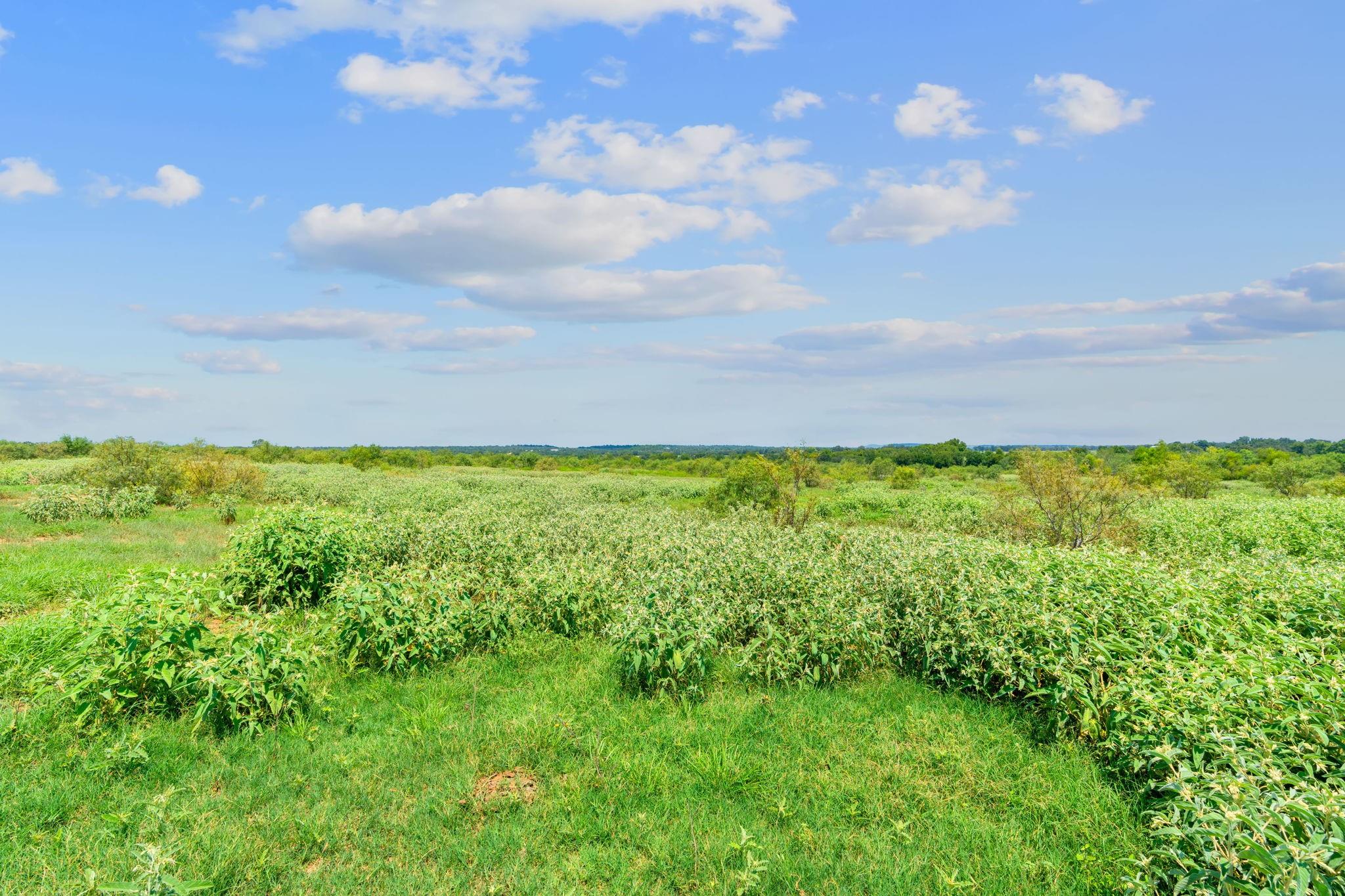 Lot 3 Cr 280, Harwood, TX 78629
