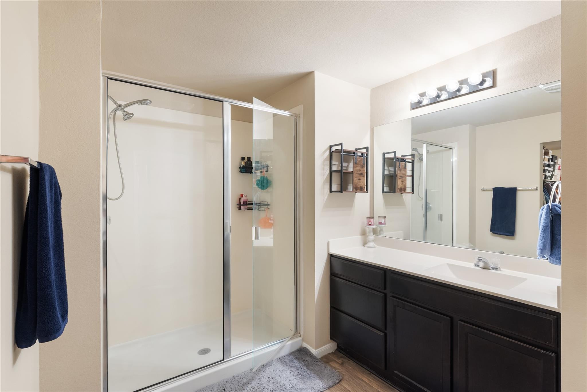 19408 Great Falls Dr, Manor, TX 78653