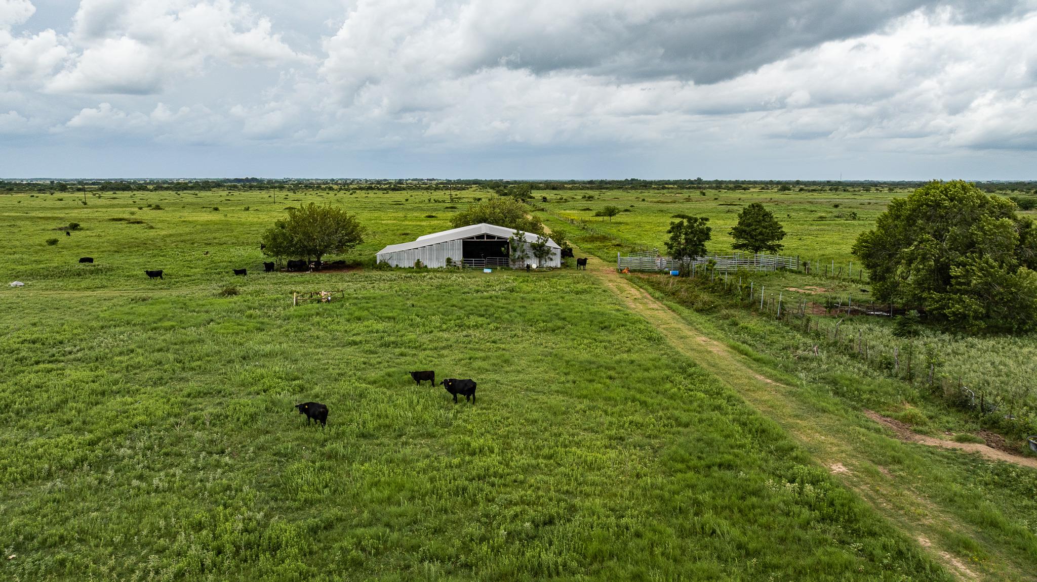 TBD Rice Rd, Bernardo, TX 78933