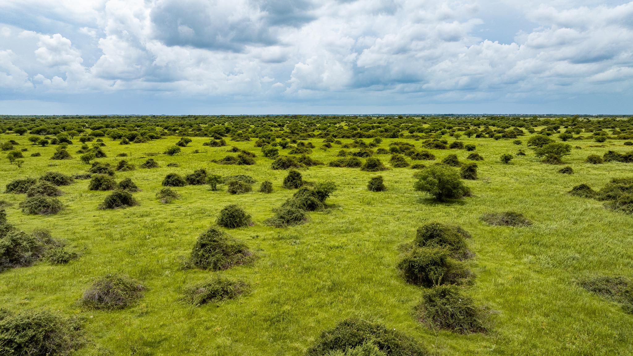 TBD Rice Rd, Bernardo, TX 78933