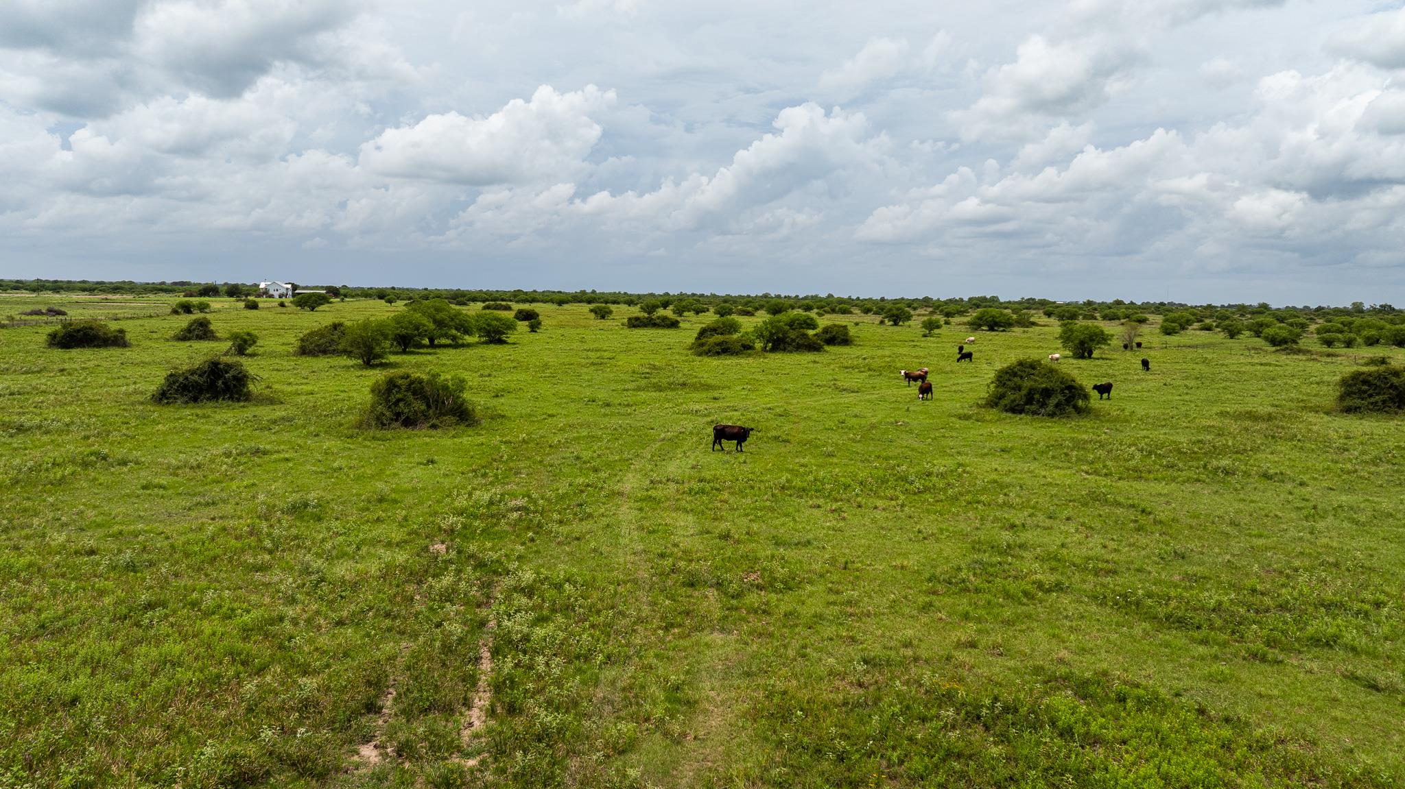 TBD Rice Rd, Bernardo, TX 78933