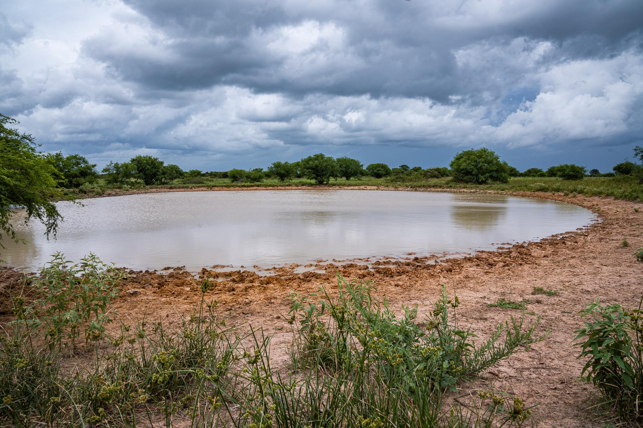 TBD Rice Rd, Bernardo, TX 78933