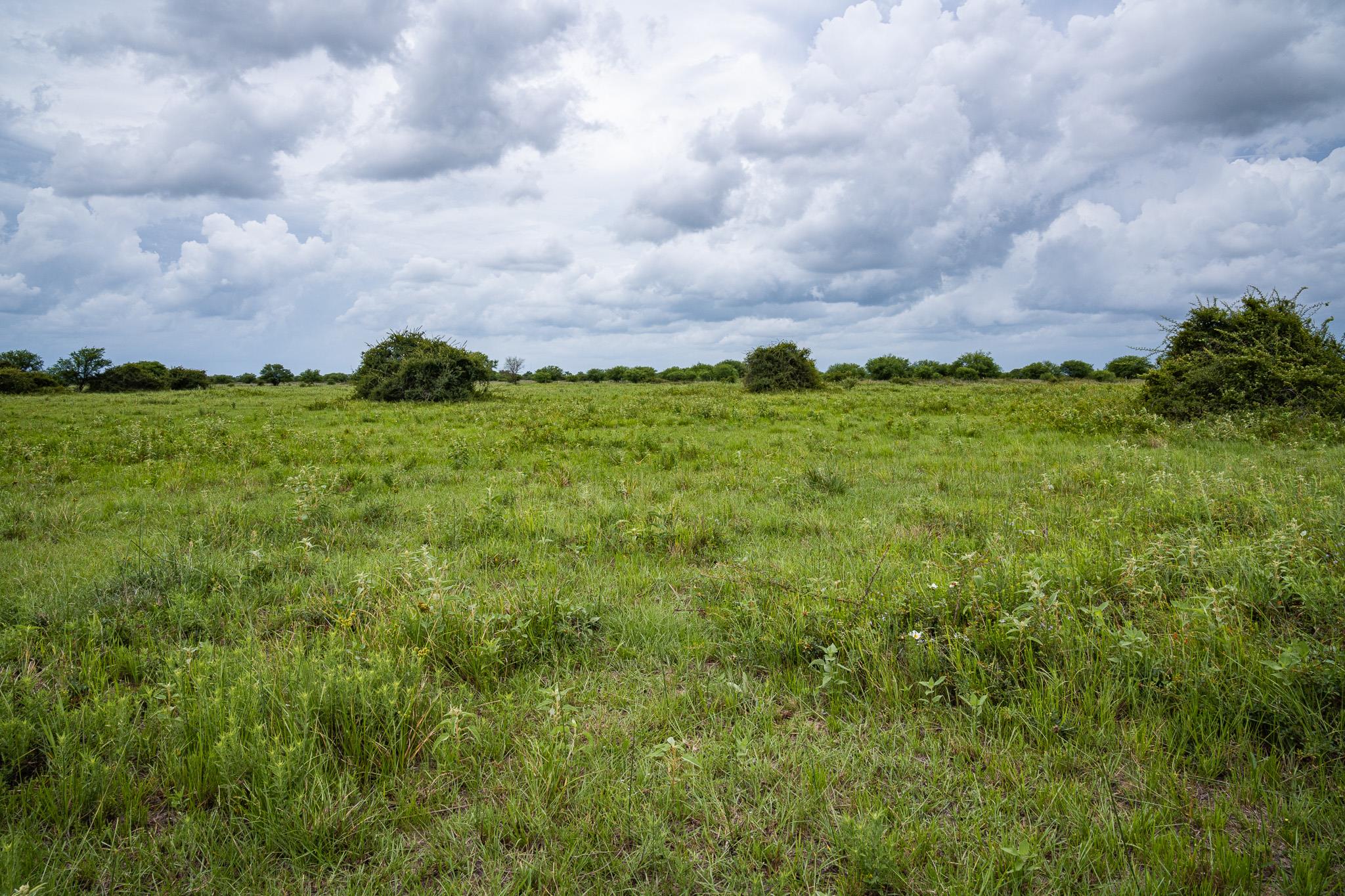 TBD Rice Rd, Bernardo, TX 78933