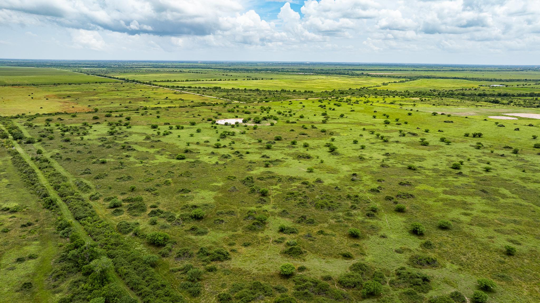 TBD Rice Rd, Bernardo, TX 78933