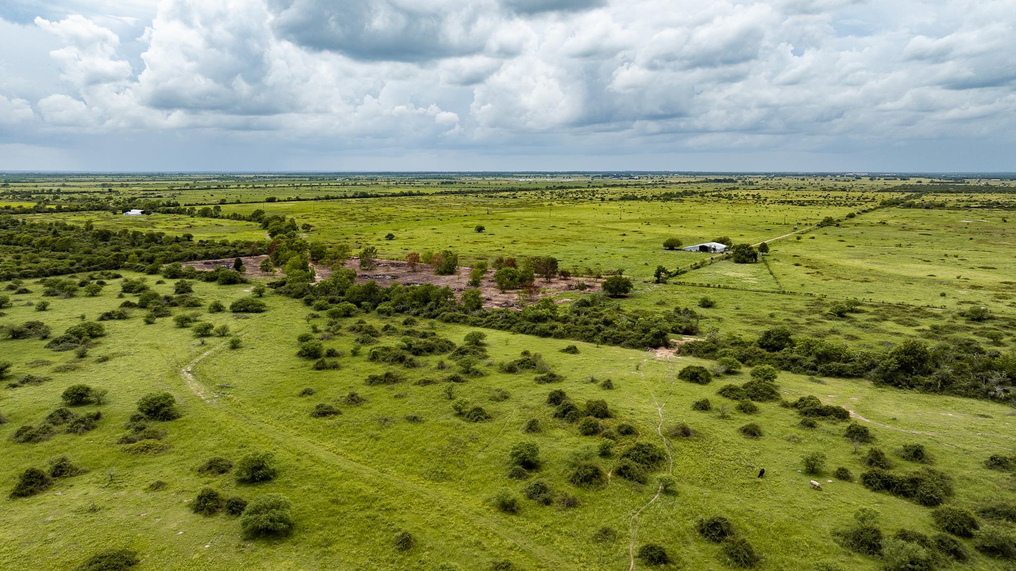 TBD Rice Rd, Bernardo, TX 78933