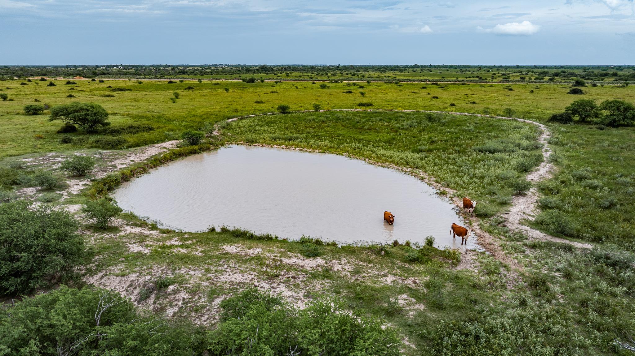 TBD Rice Rd, Bernardo, TX 78933