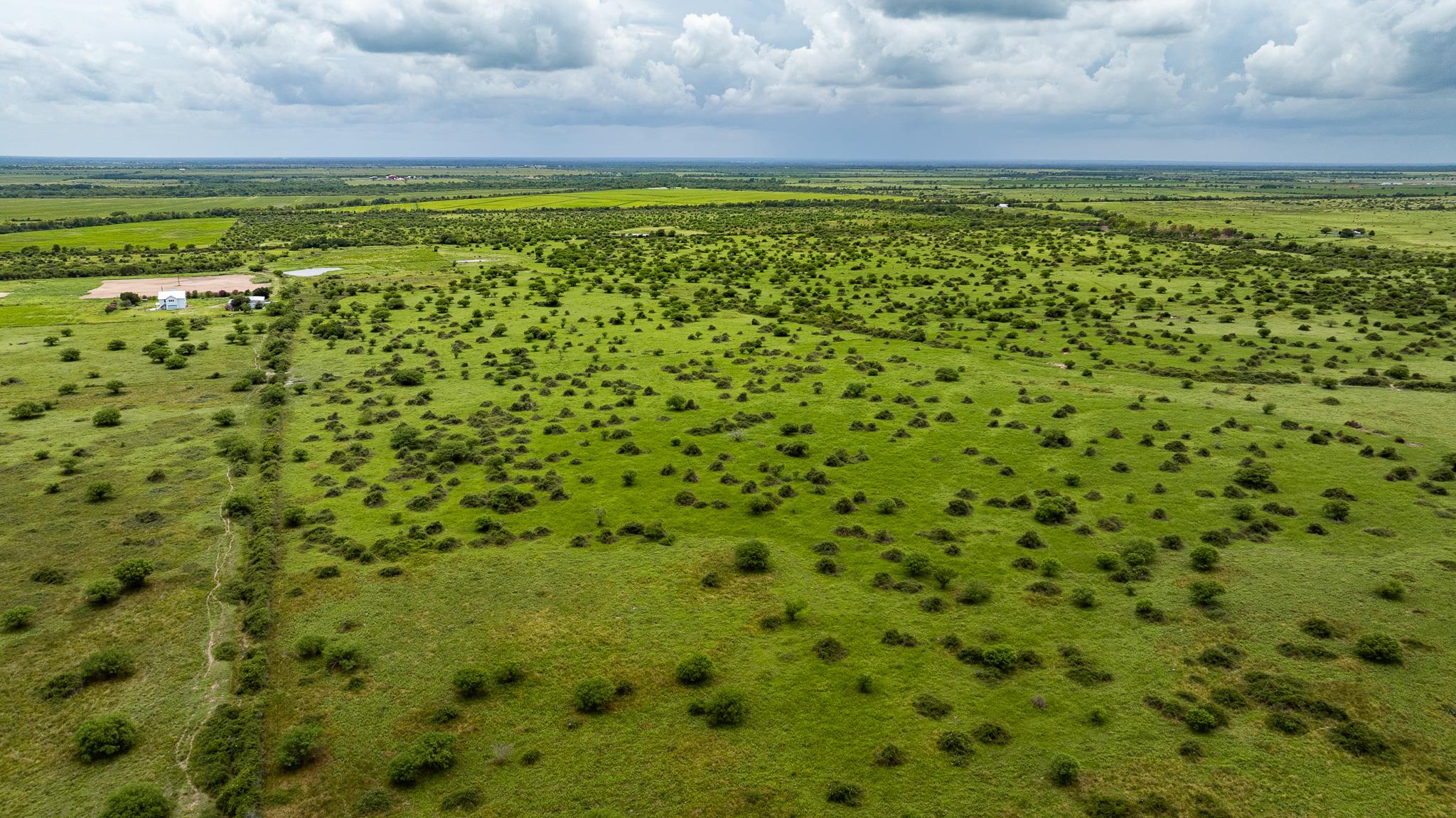 TBD Rice Rd, Bernardo, TX 78933