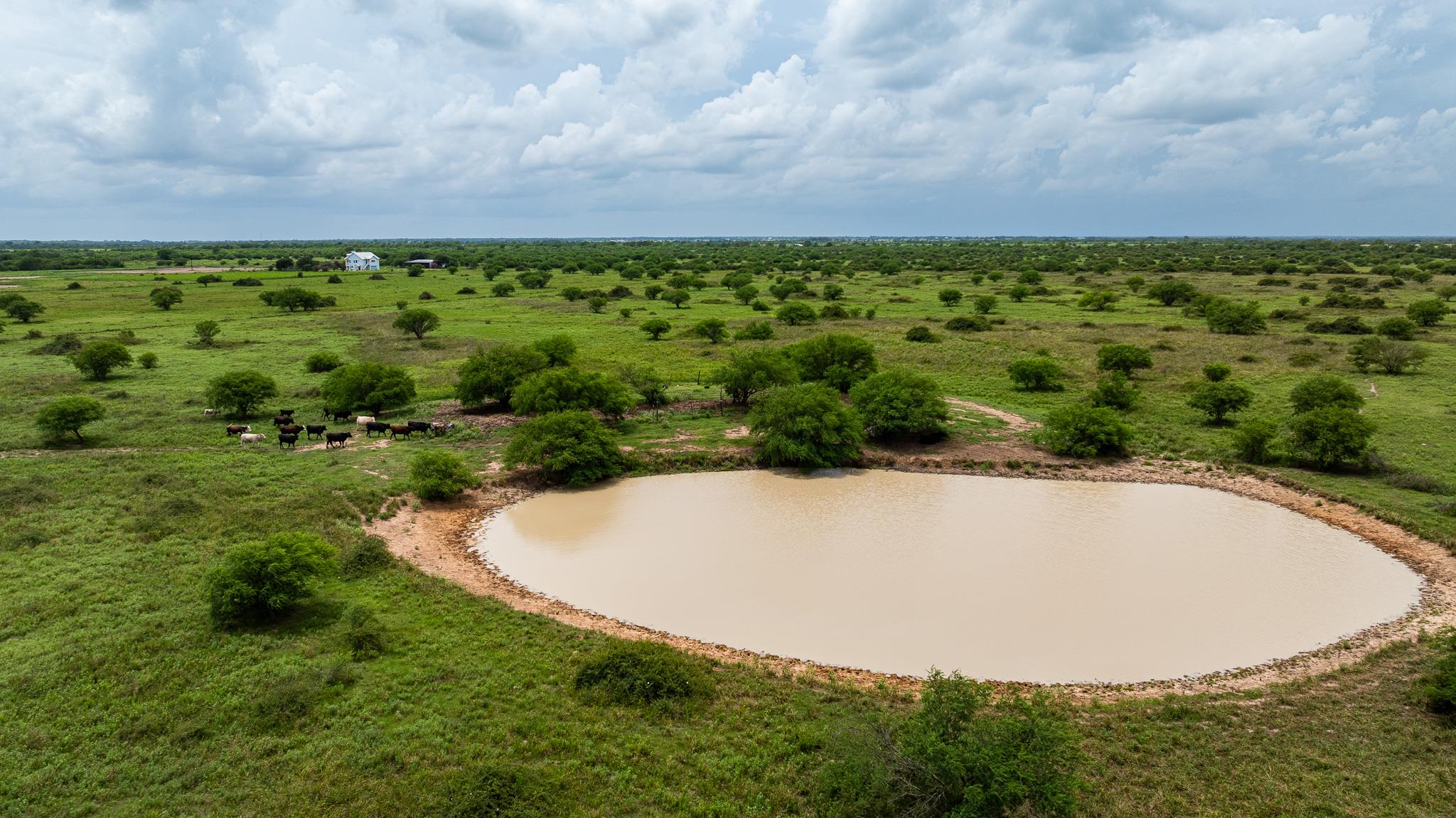 TBD Rice Rd, Bernardo, TX 78933