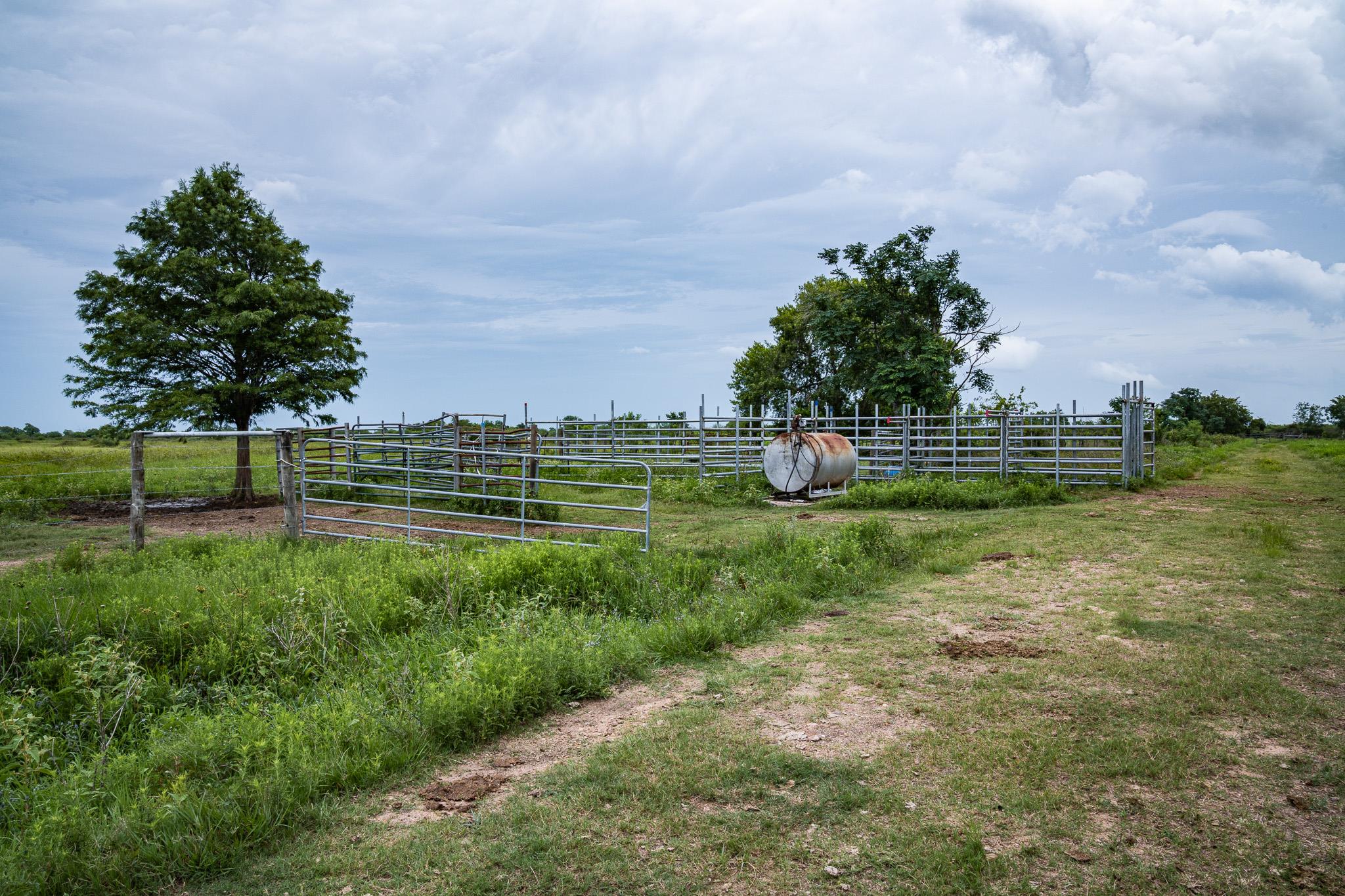 TBD Rice Rd, Bernardo, TX 78933
