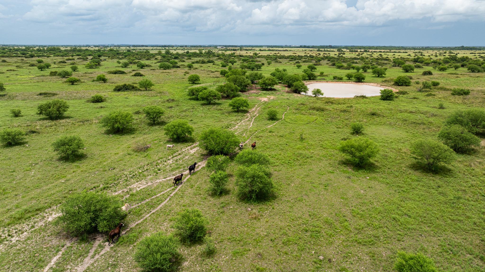 TBD Rice Rd, Bernardo, TX 78933