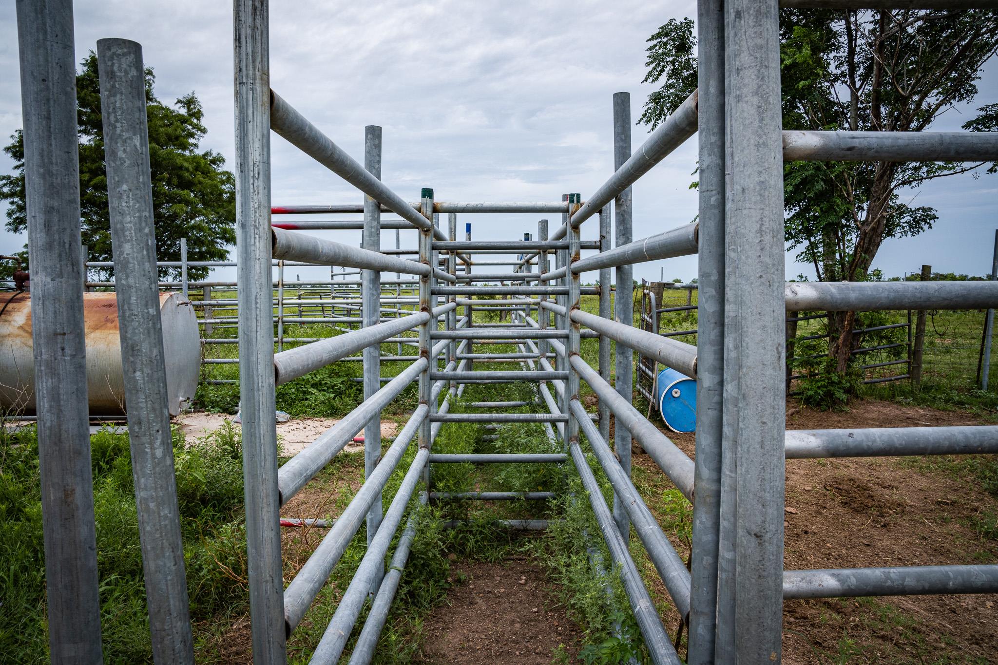 TBD Rice Rd, Bernardo, TX 78933