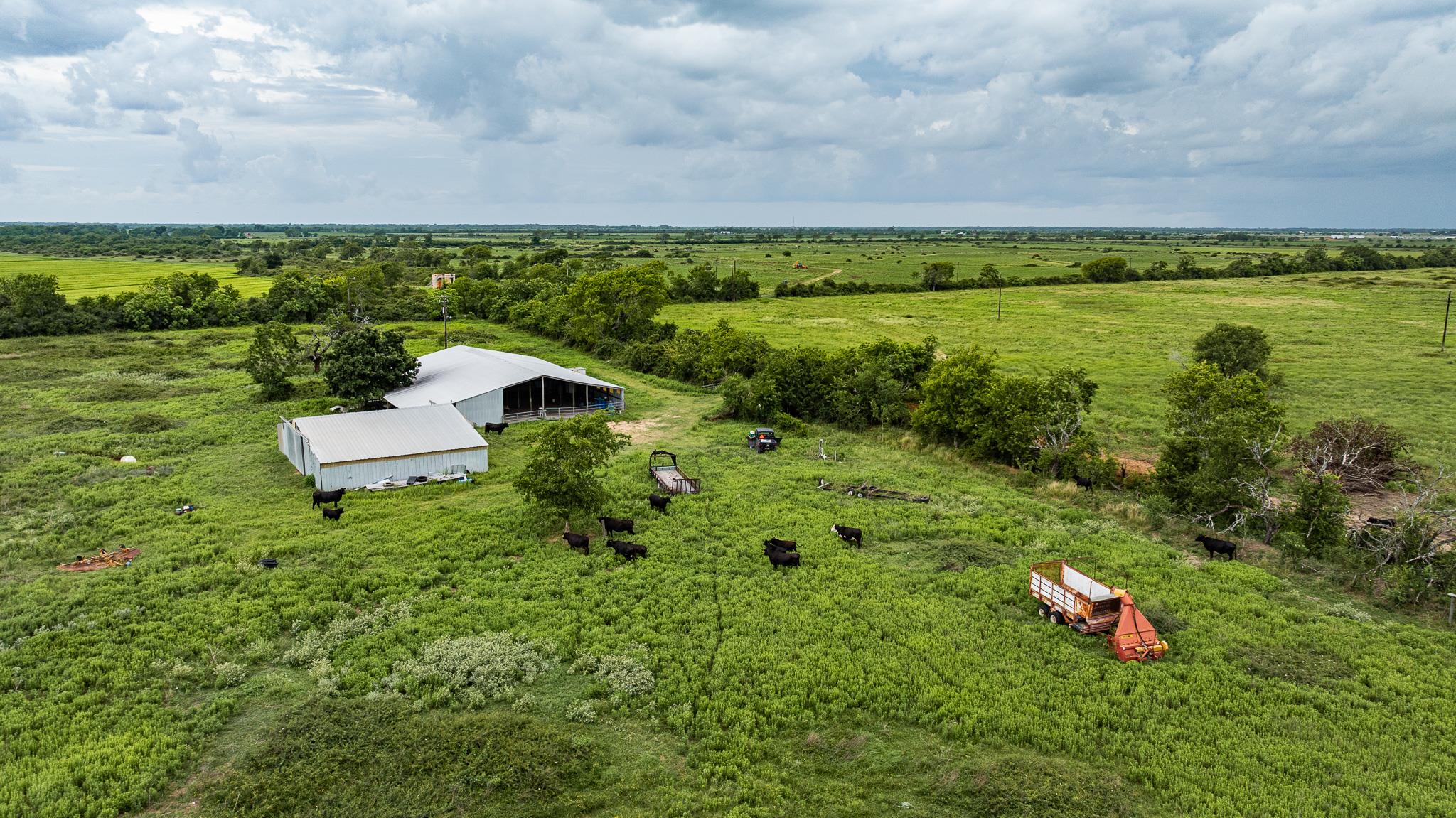 TBD Rice Rd, Bernardo, TX 78933