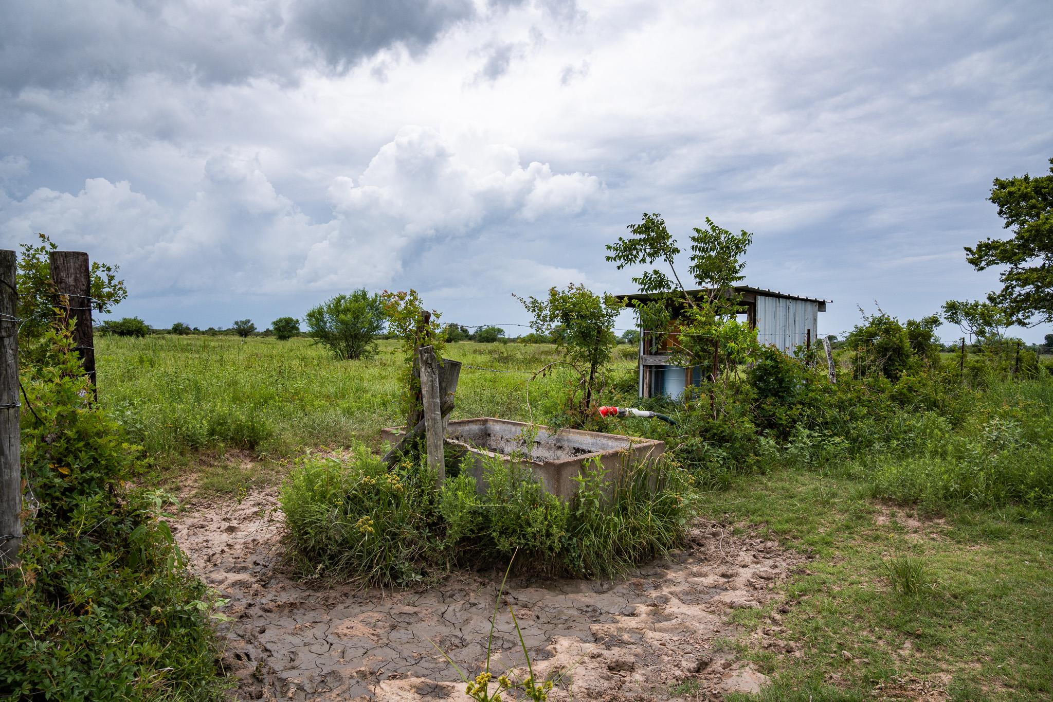 TBD Rice Rd, Bernardo, TX 78933