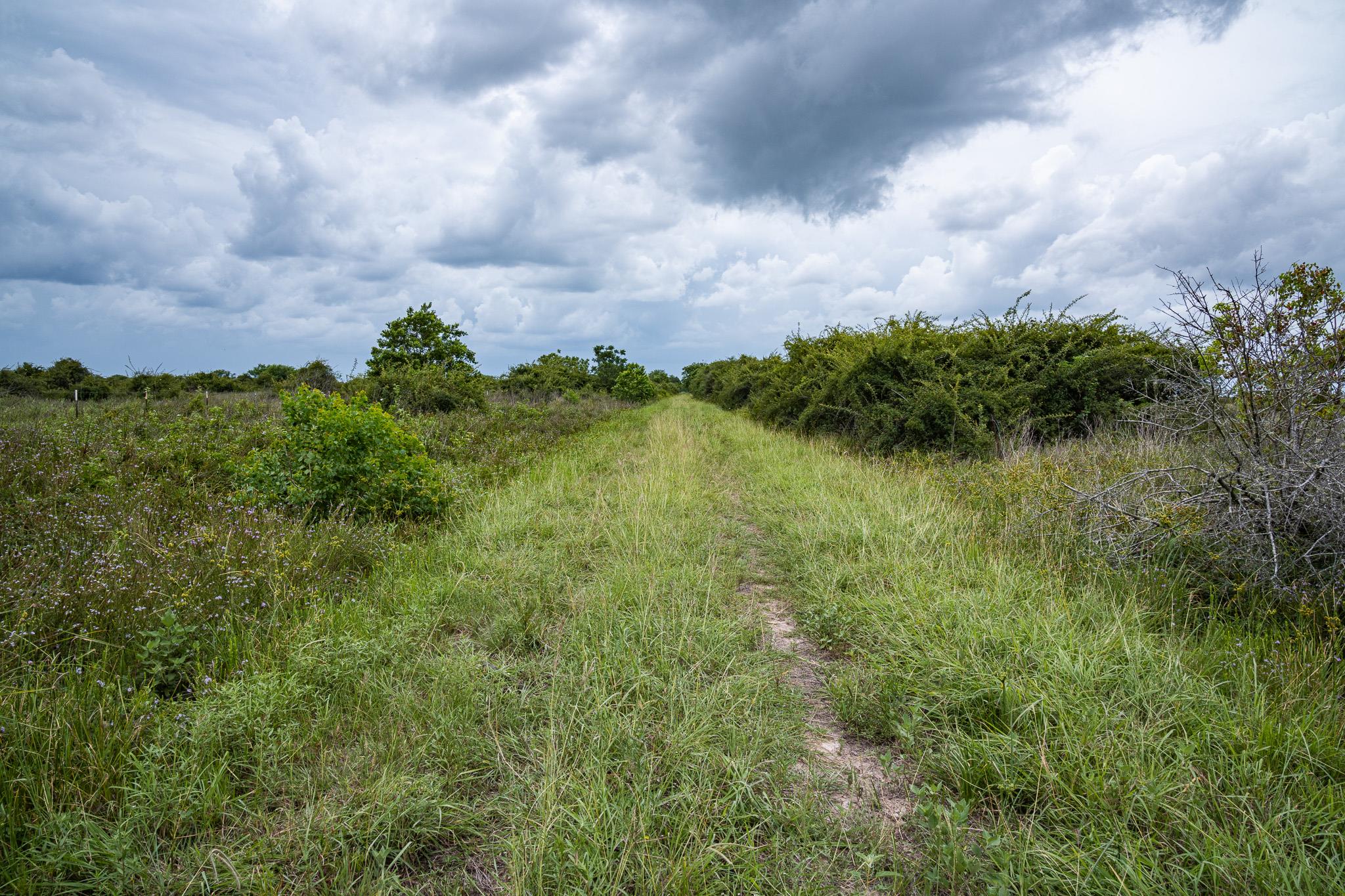 TBD Rice Rd, Bernardo, TX 78933