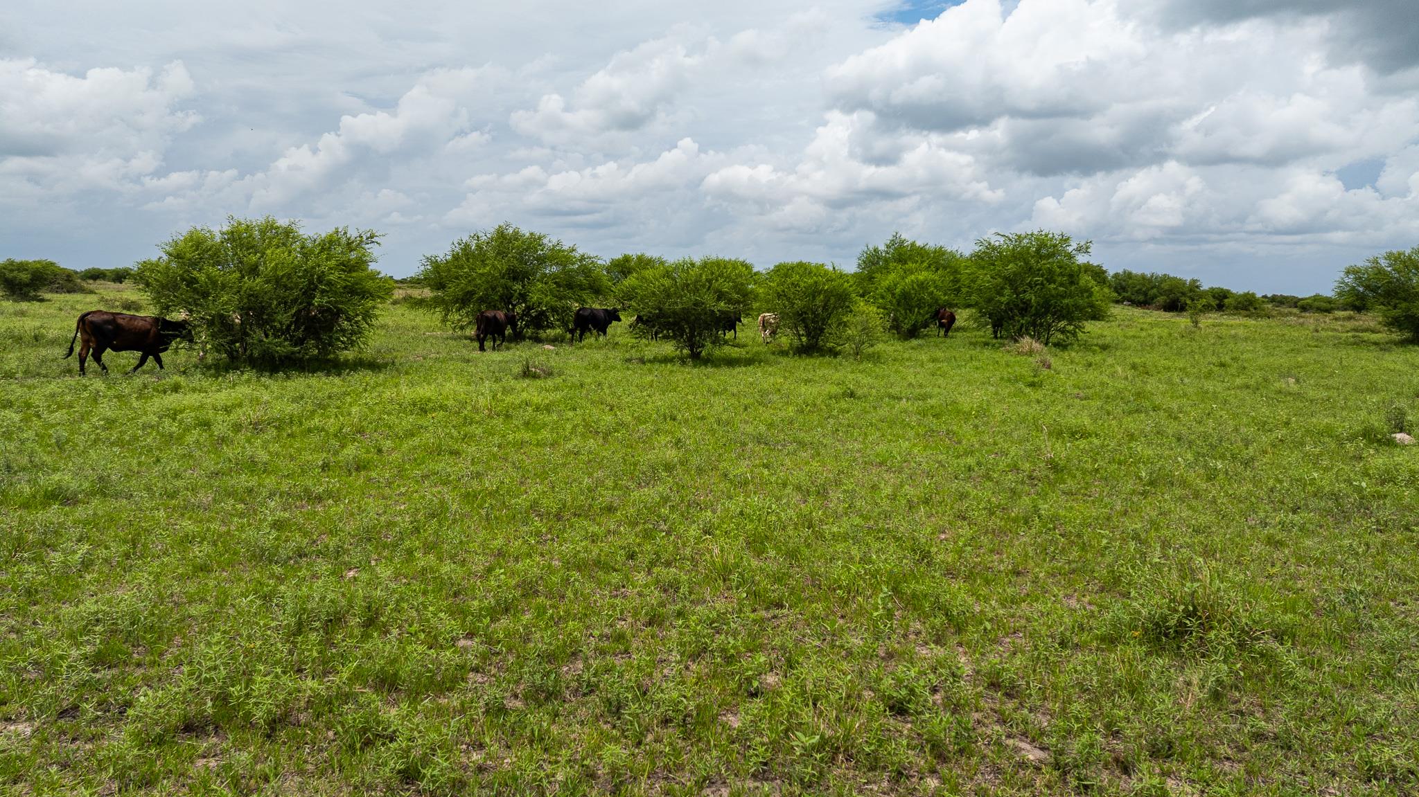 TBD Rice Rd, Bernardo, TX 78933