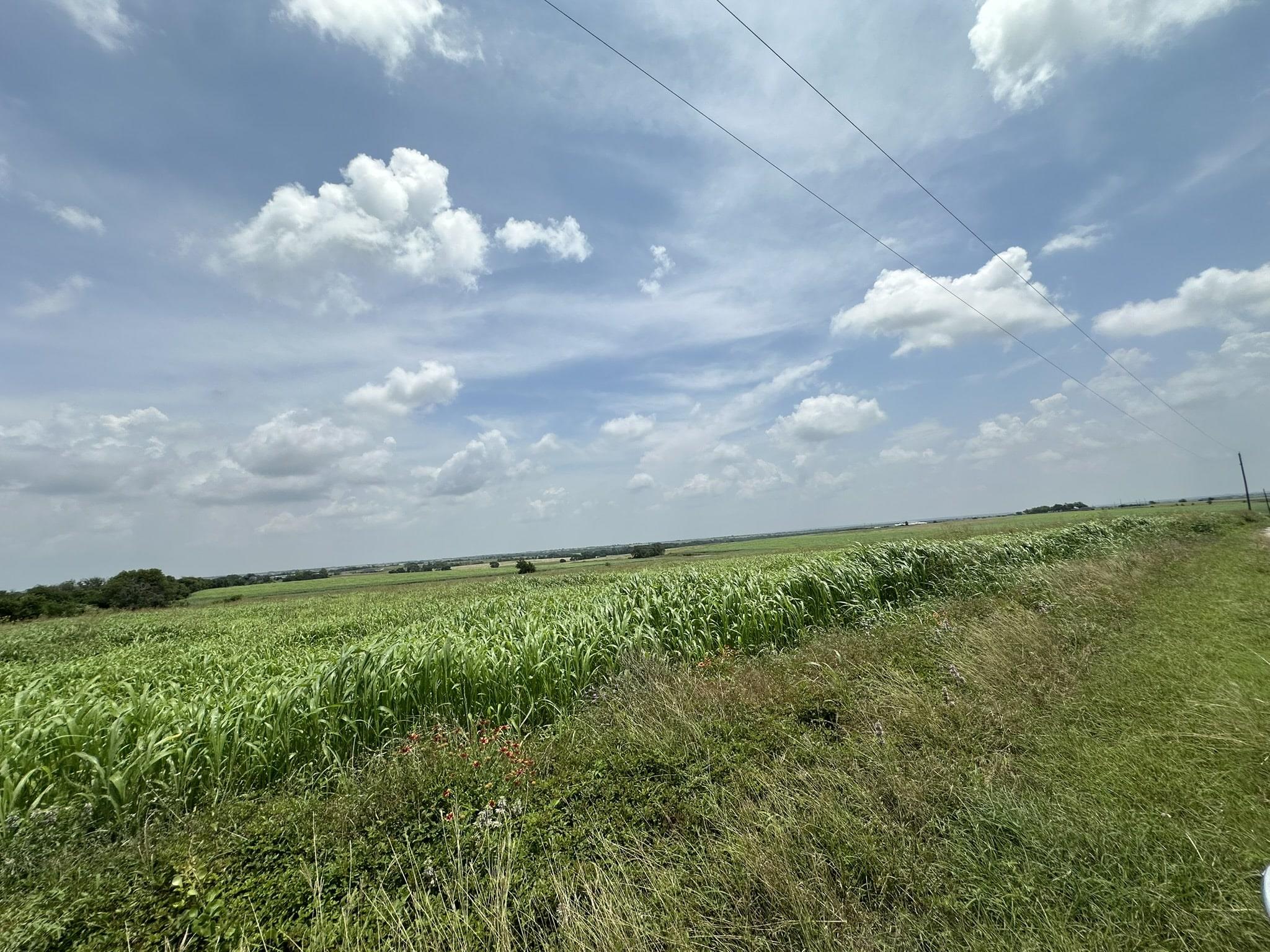 999999 E Main St, Troy, TX 76579