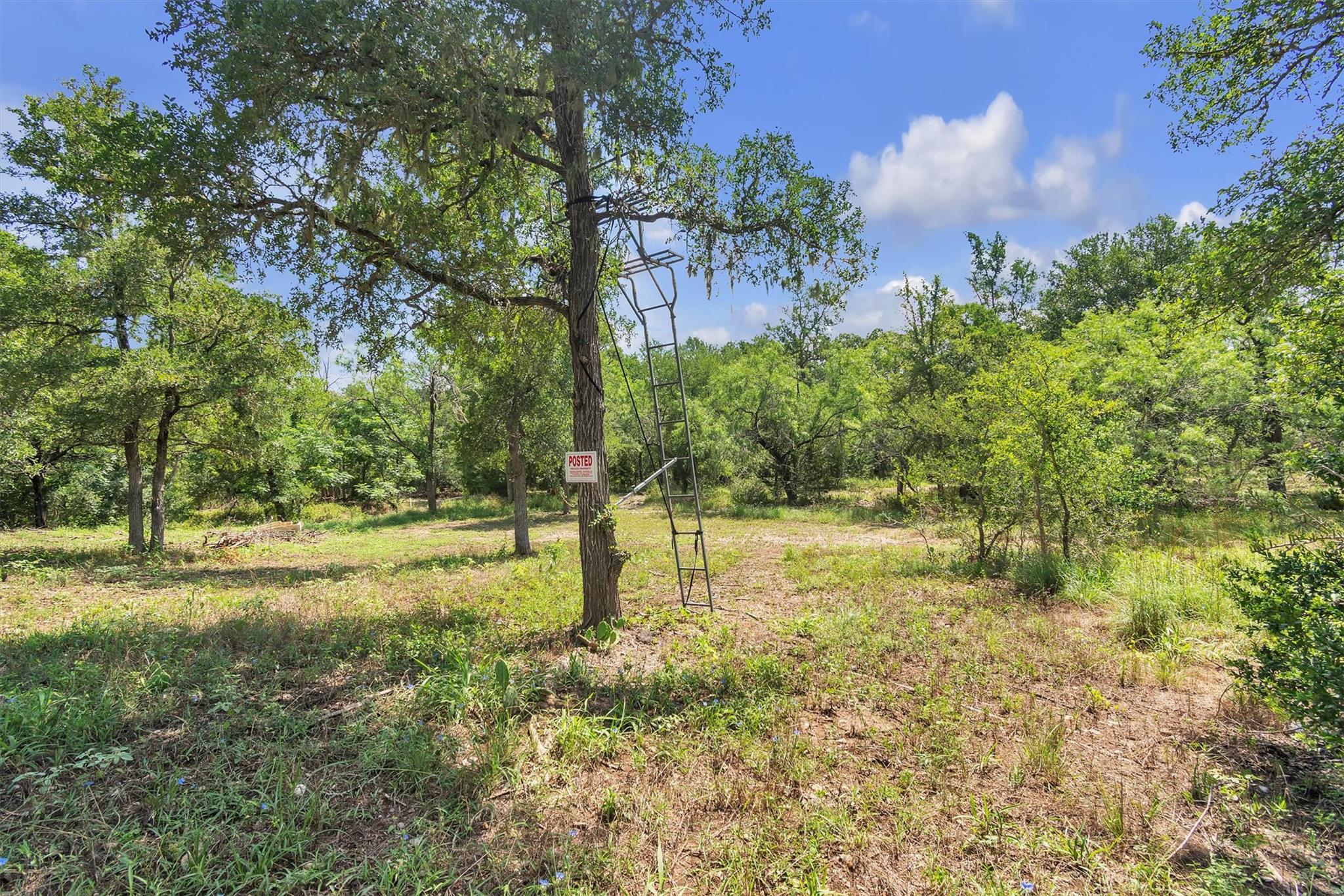 145 Oak Forest Court, Cedar Creek, TX 78612
