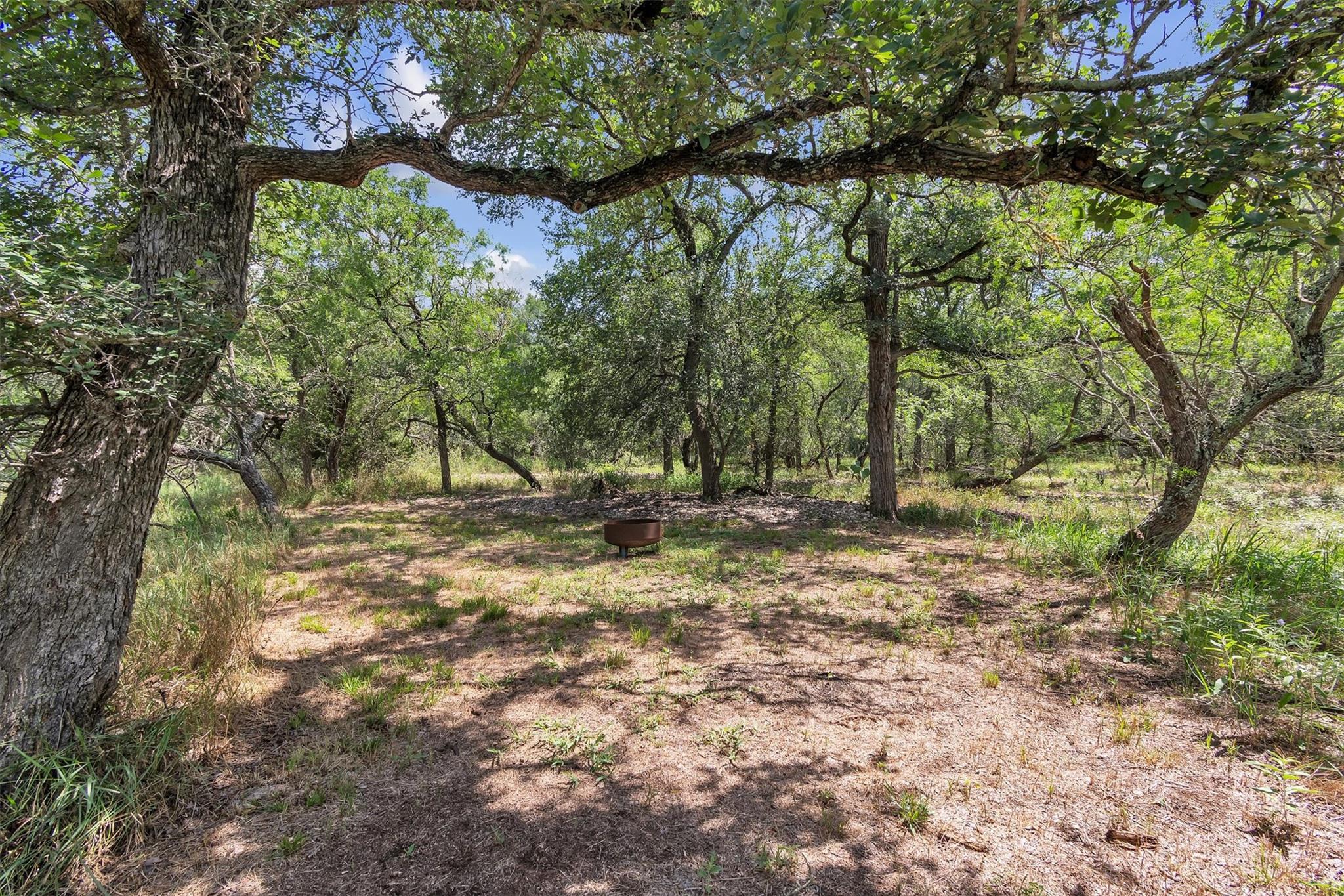 145 Oak Forest Court, Cedar Creek, TX 78612