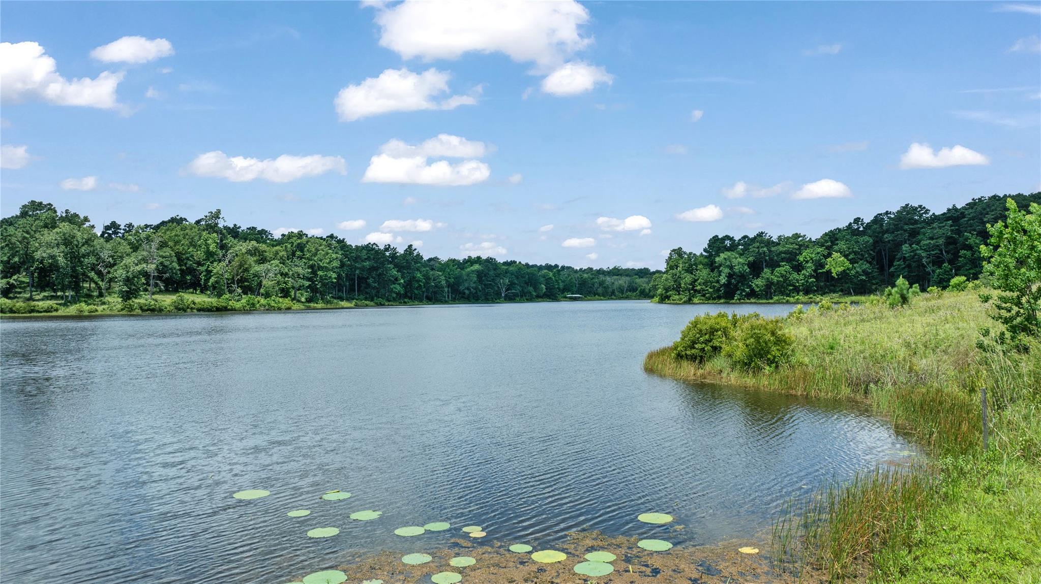 000 PR 1314, Centerville, TX 75833