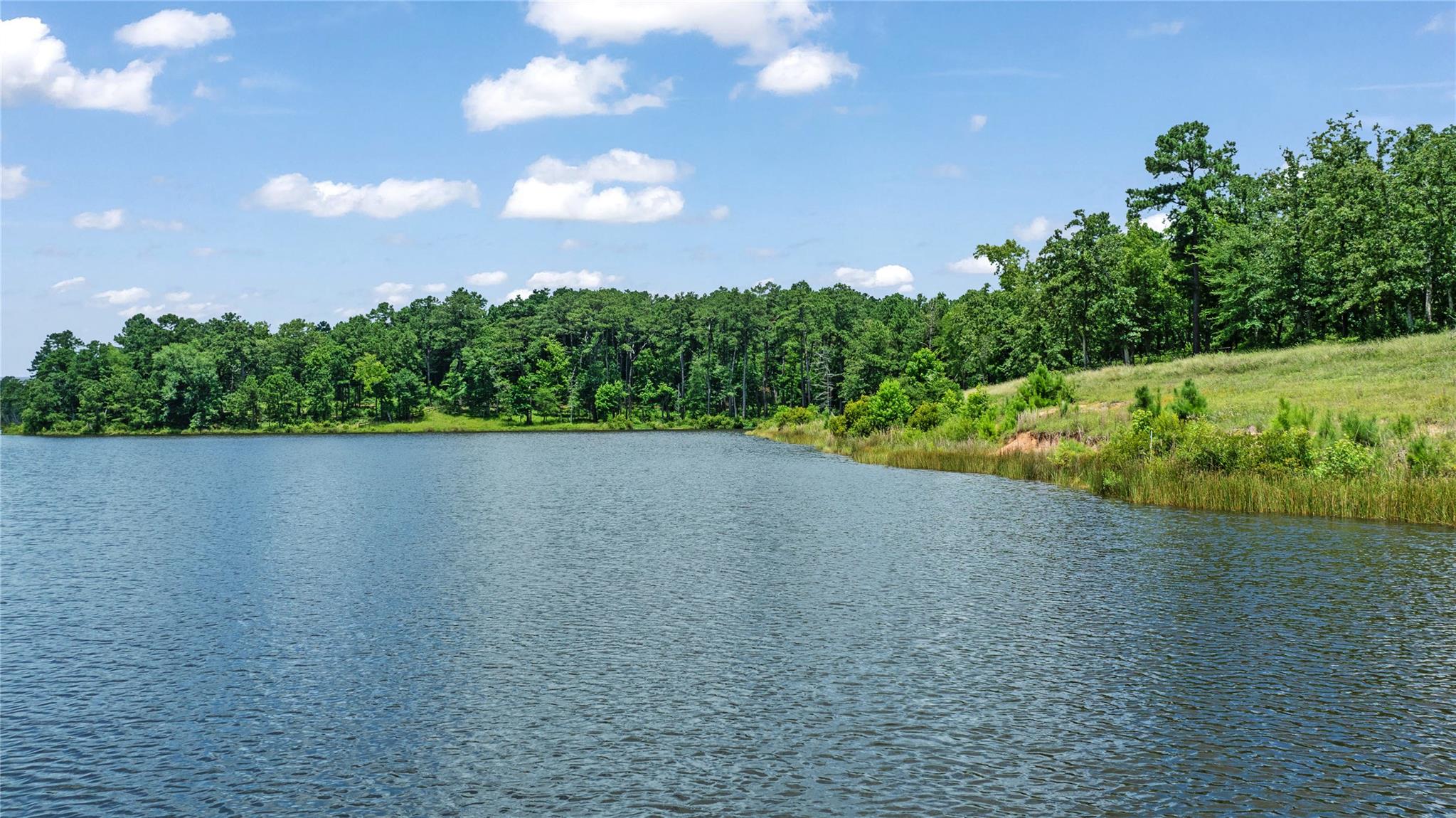 000 PR 1314, Centerville, TX 75833