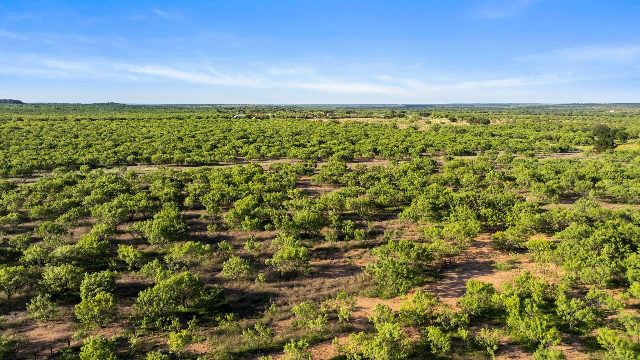 2186 Fm 1028, Rochelle, TX 76872
