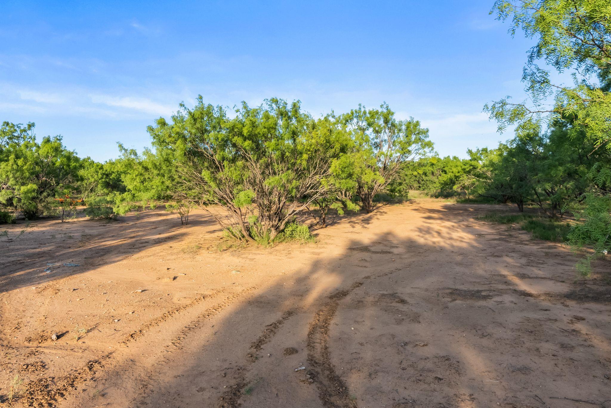 2186 Fm 1028, Rochelle, TX 76872