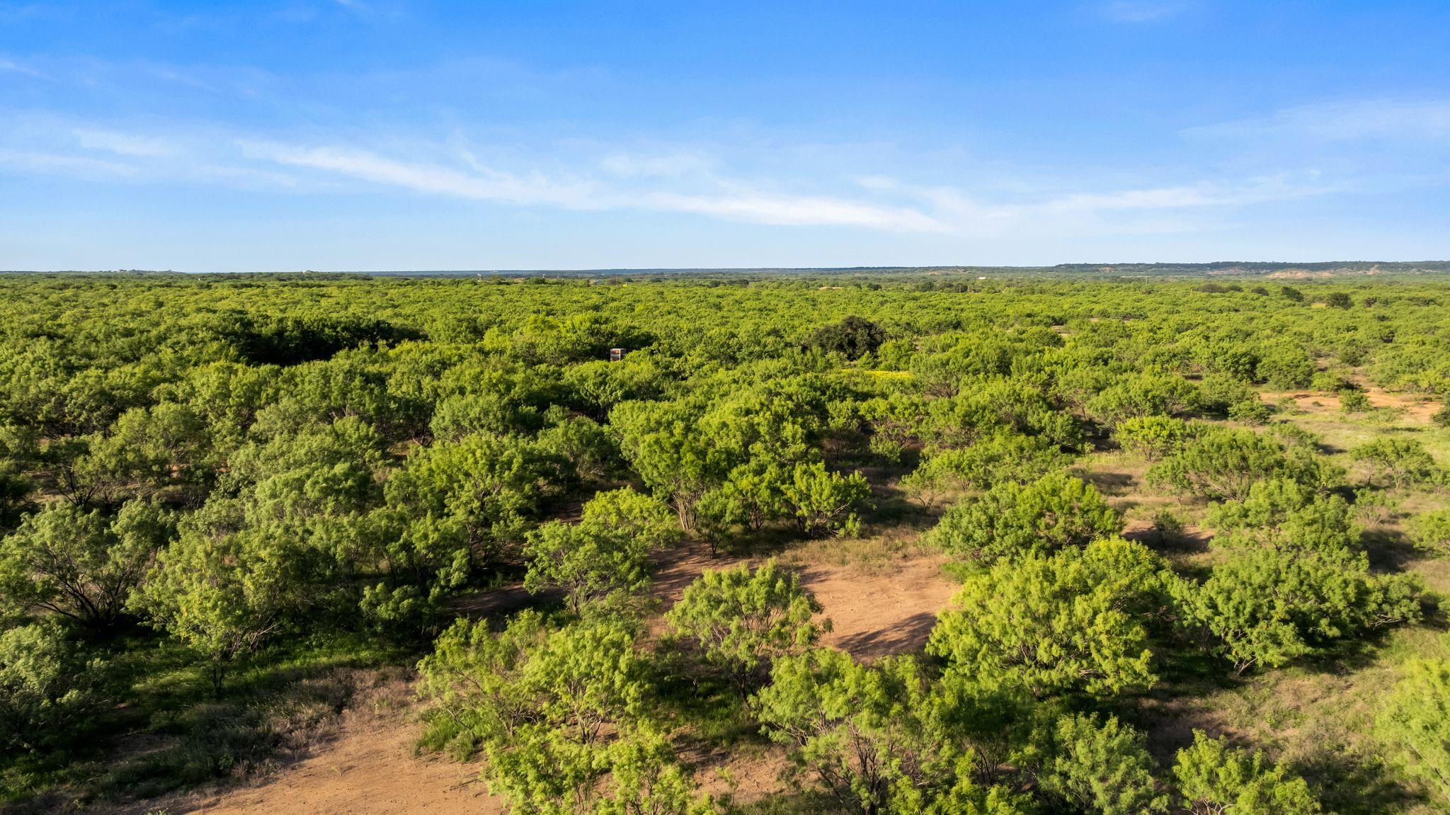 2186 Fm 1028, Rochelle, TX 76872