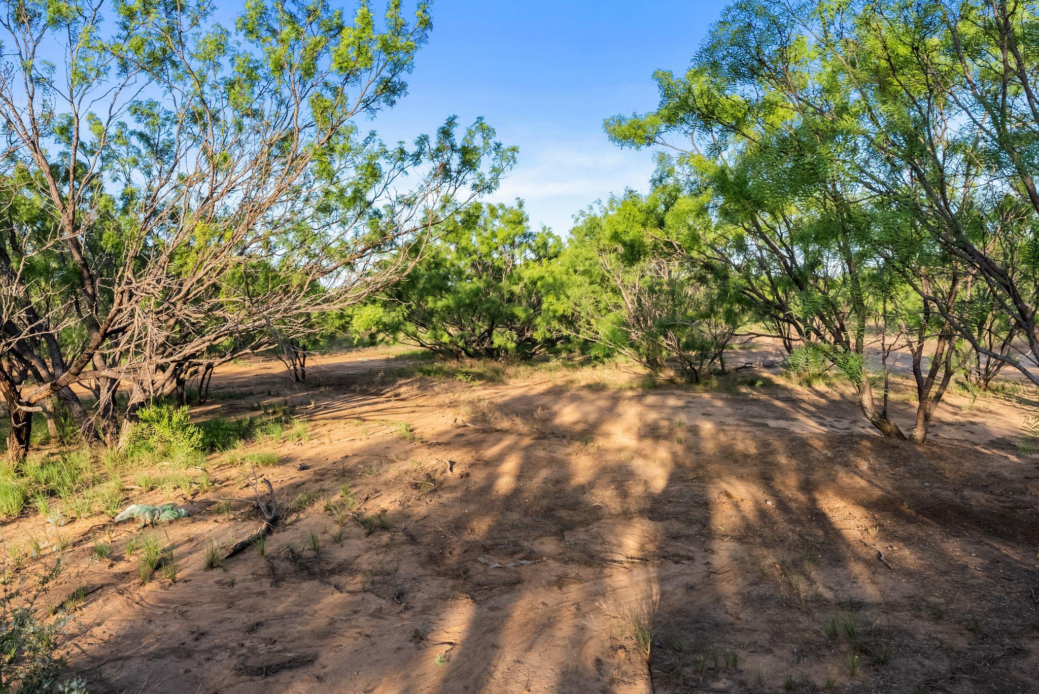 2186 Fm 1028, Rochelle, TX 76872
