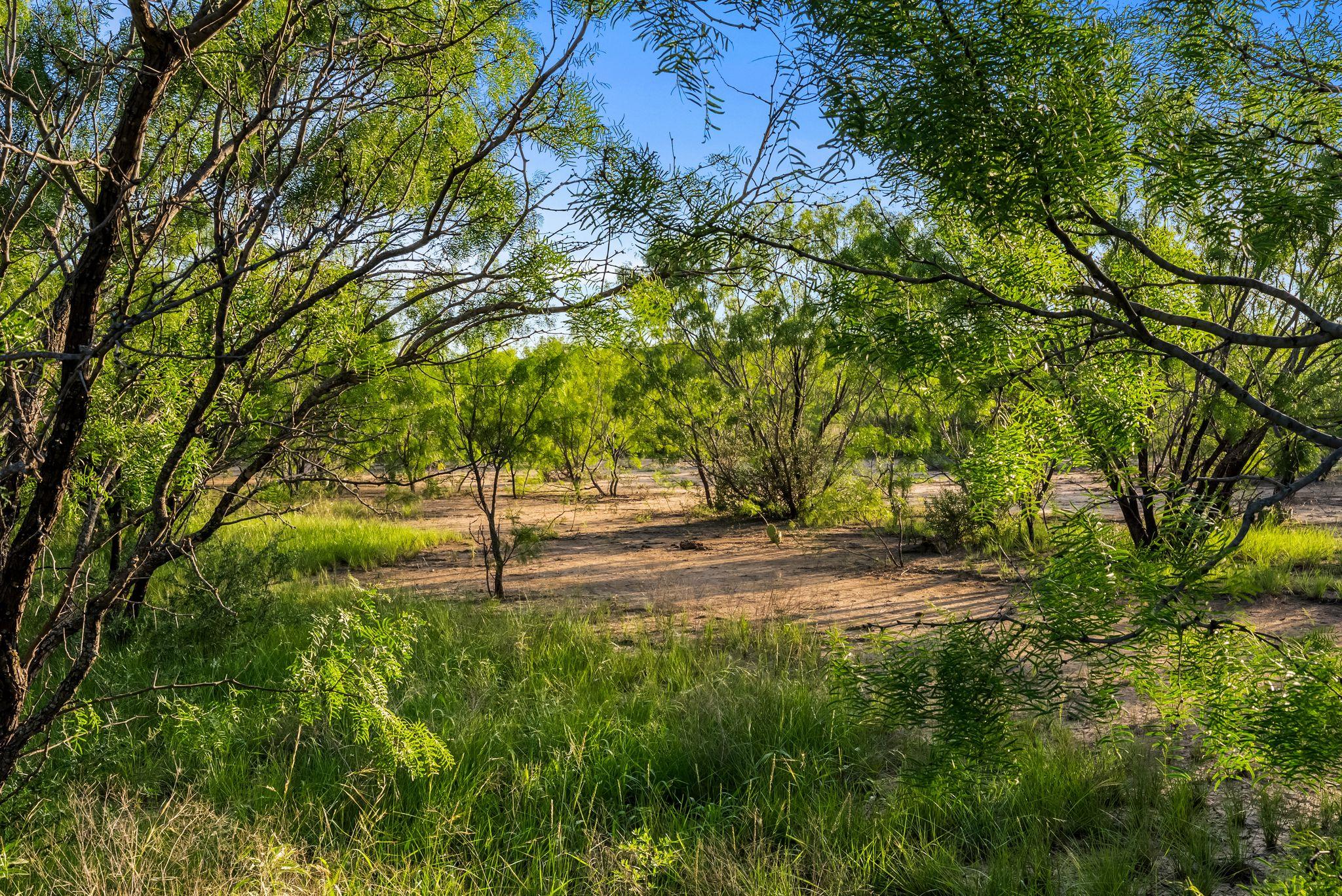 2186 Fm 1028, Rochelle, TX 76872