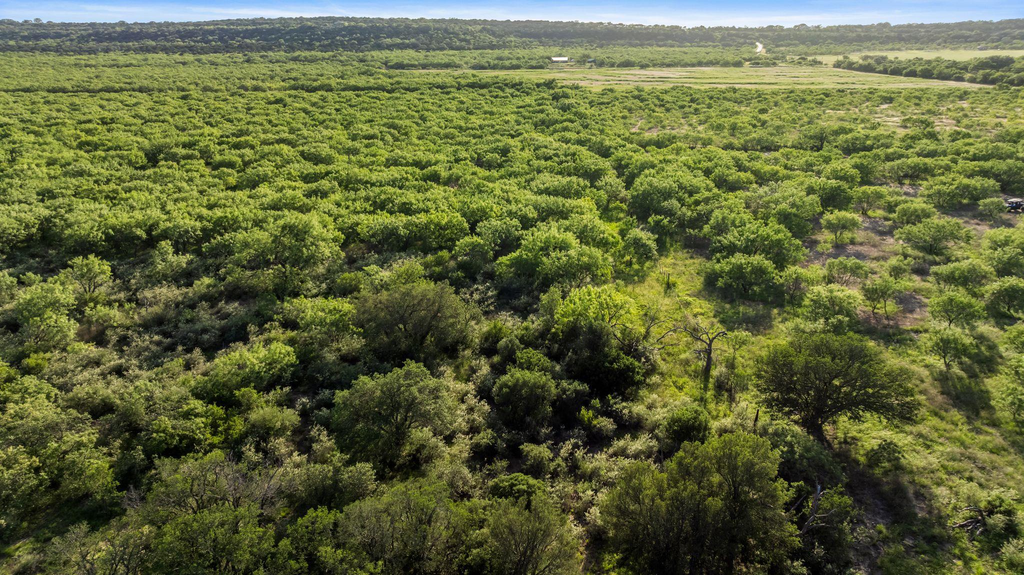 2186 Fm 1028, Rochelle, TX 76872
