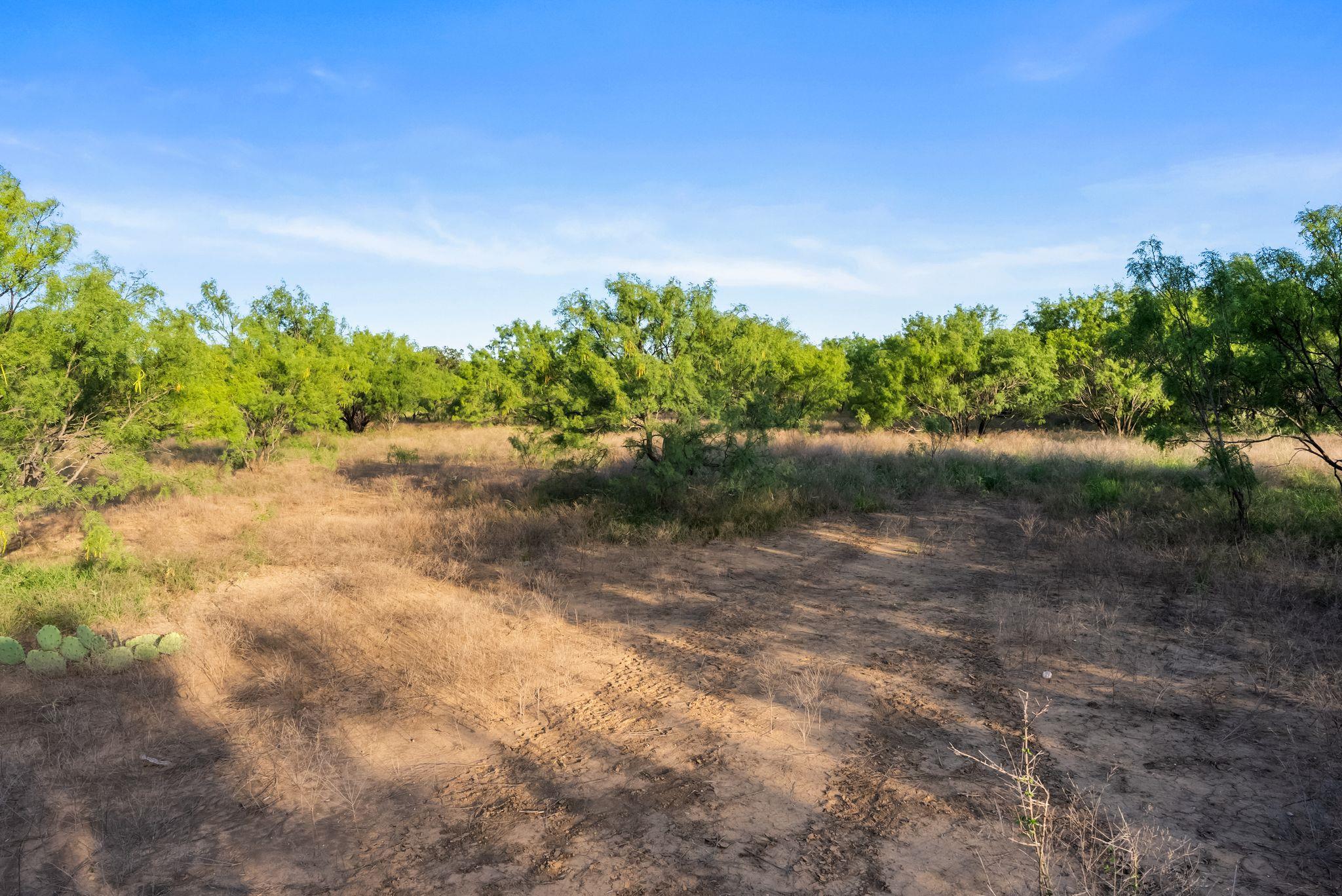 2186 Fm 1028, Rochelle, TX 76872